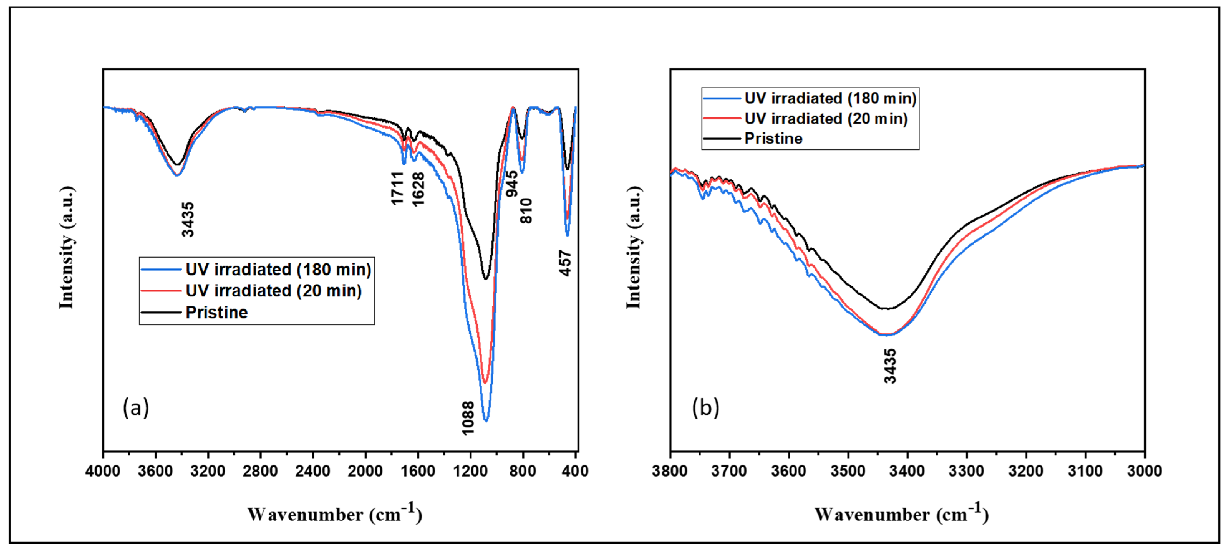 Catalysts 12 00424 g004 550