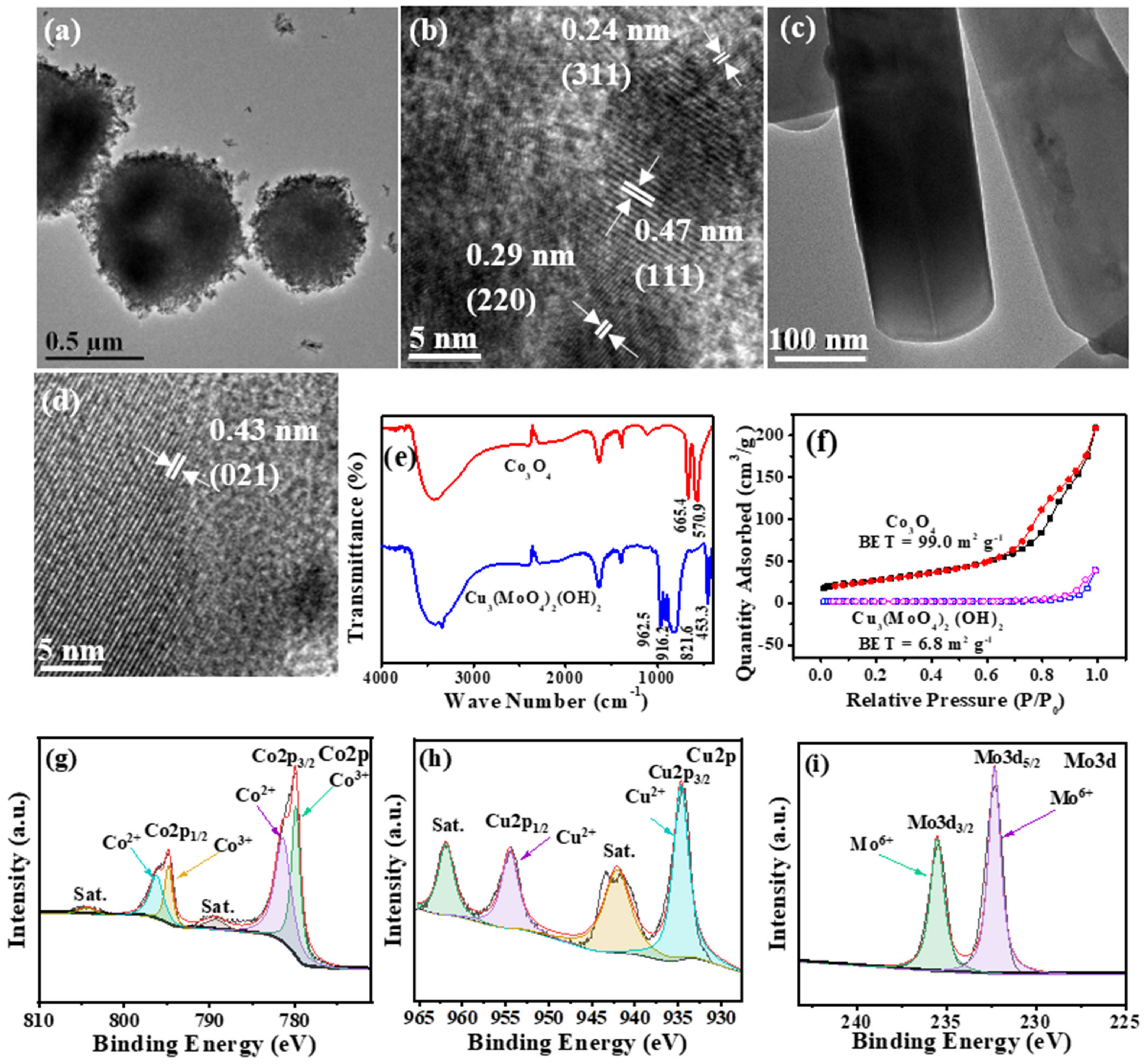 Catalysts 12 00426 g002