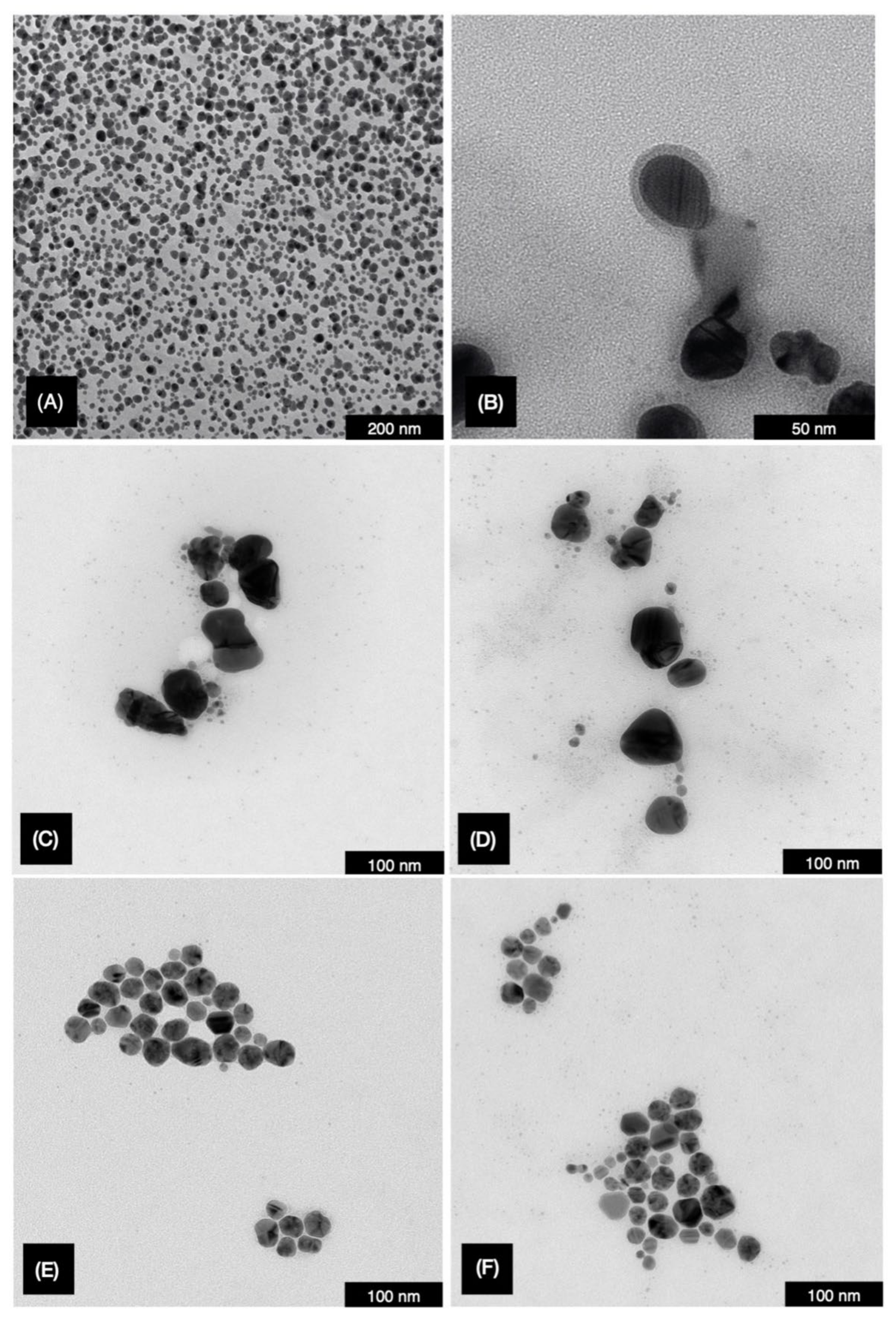 Catalysts 12 00430 g001