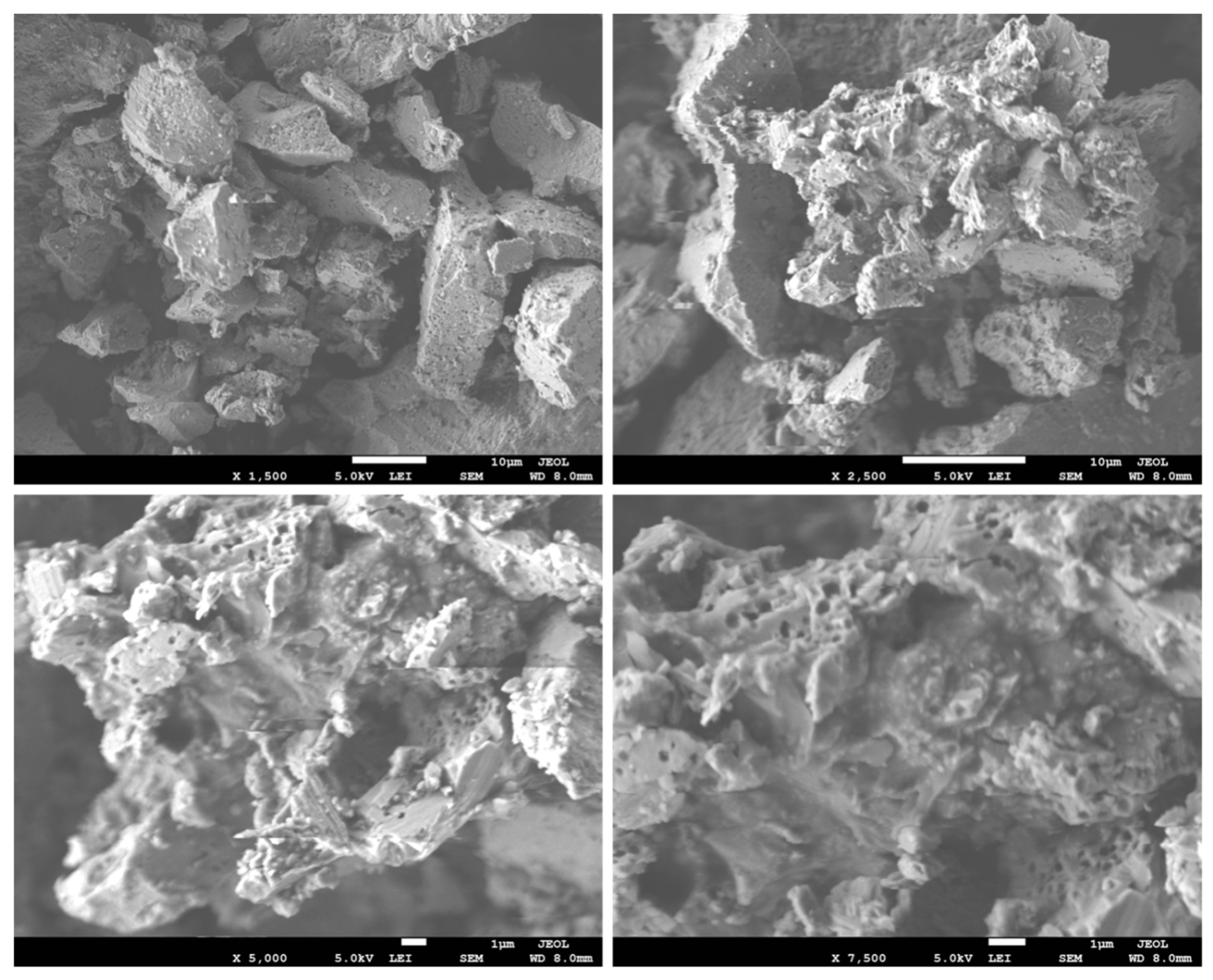 Catalysts 12 00431 g005