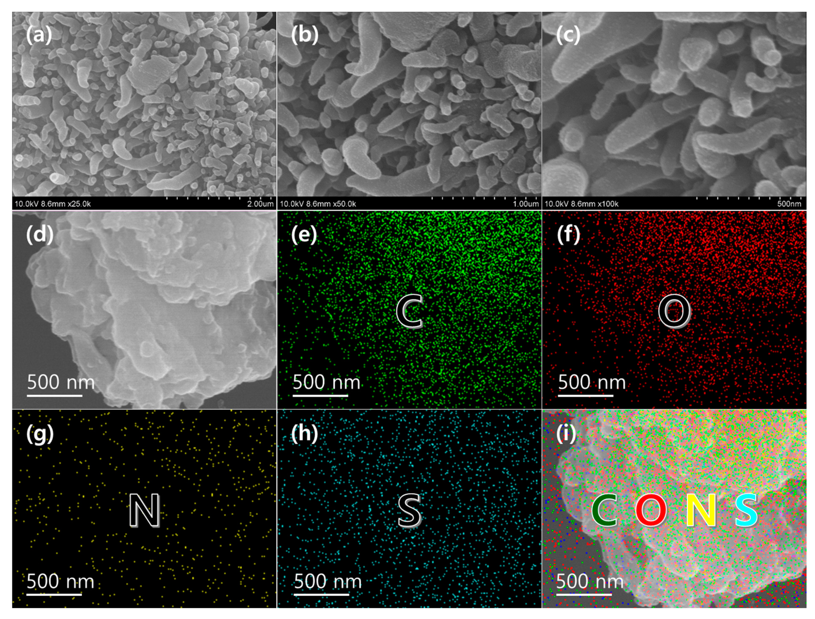 Catalysts 12 00436 g001