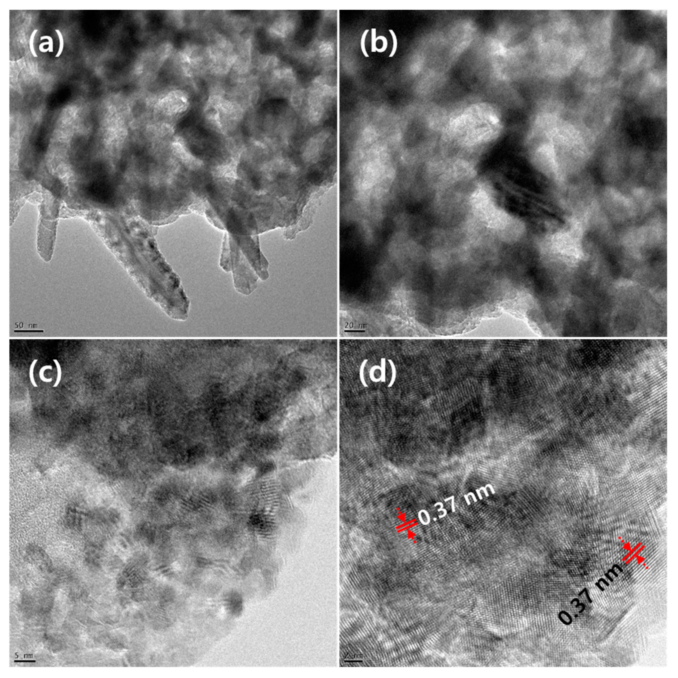 Catalysts 12 00436 g002
