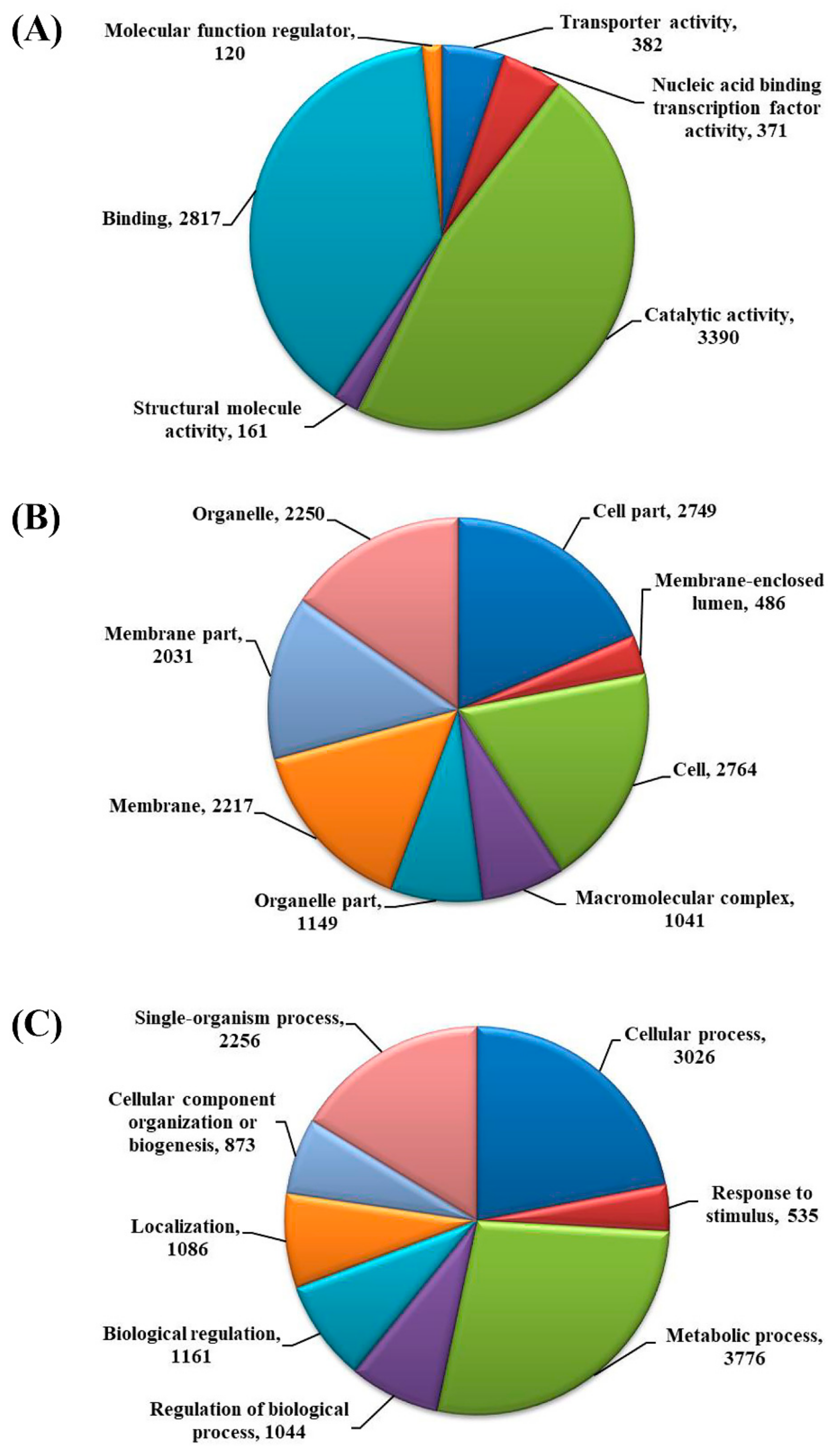 Catalysts 12 00437 g001