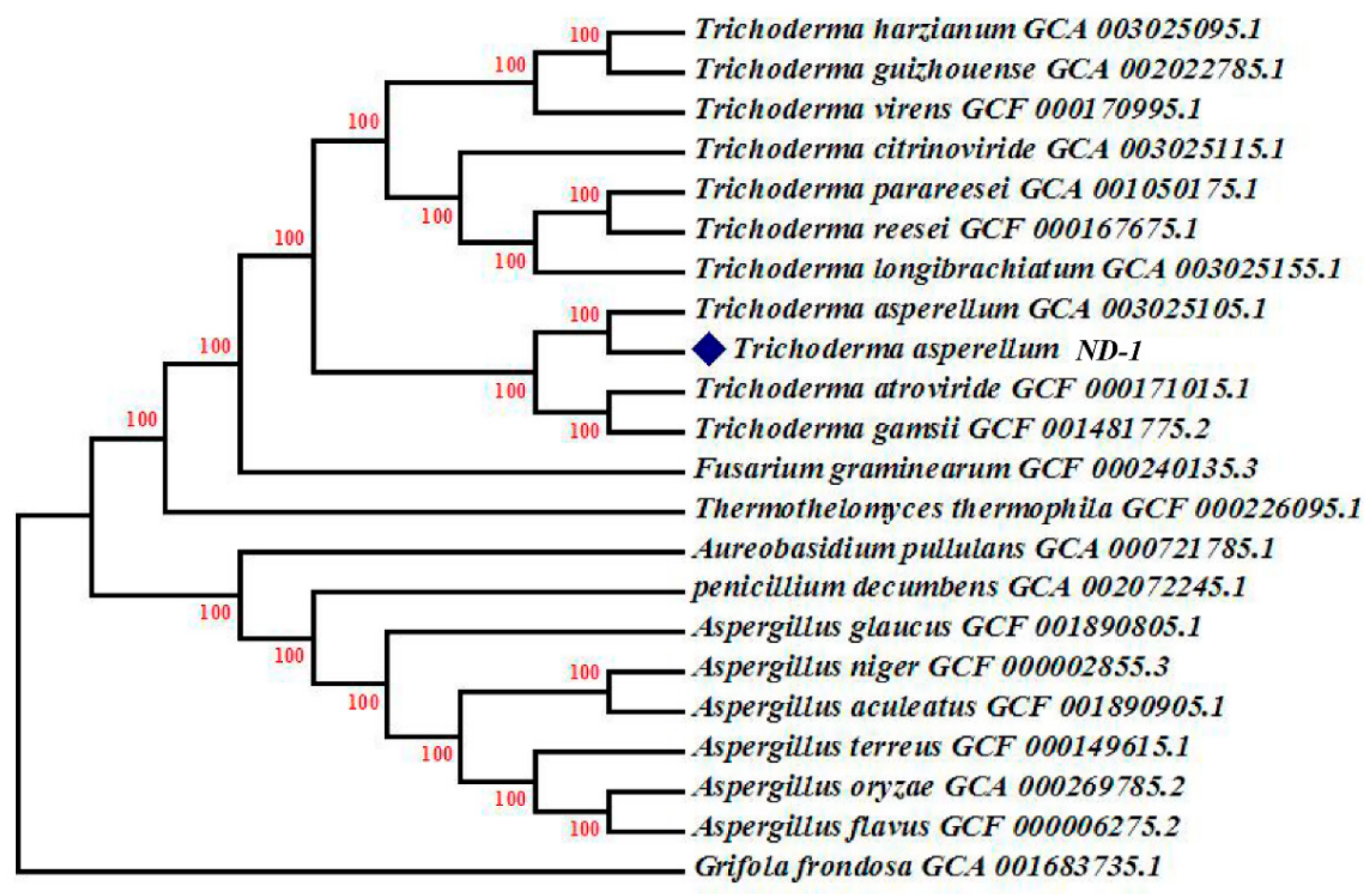 Catalysts 12 00437 g004