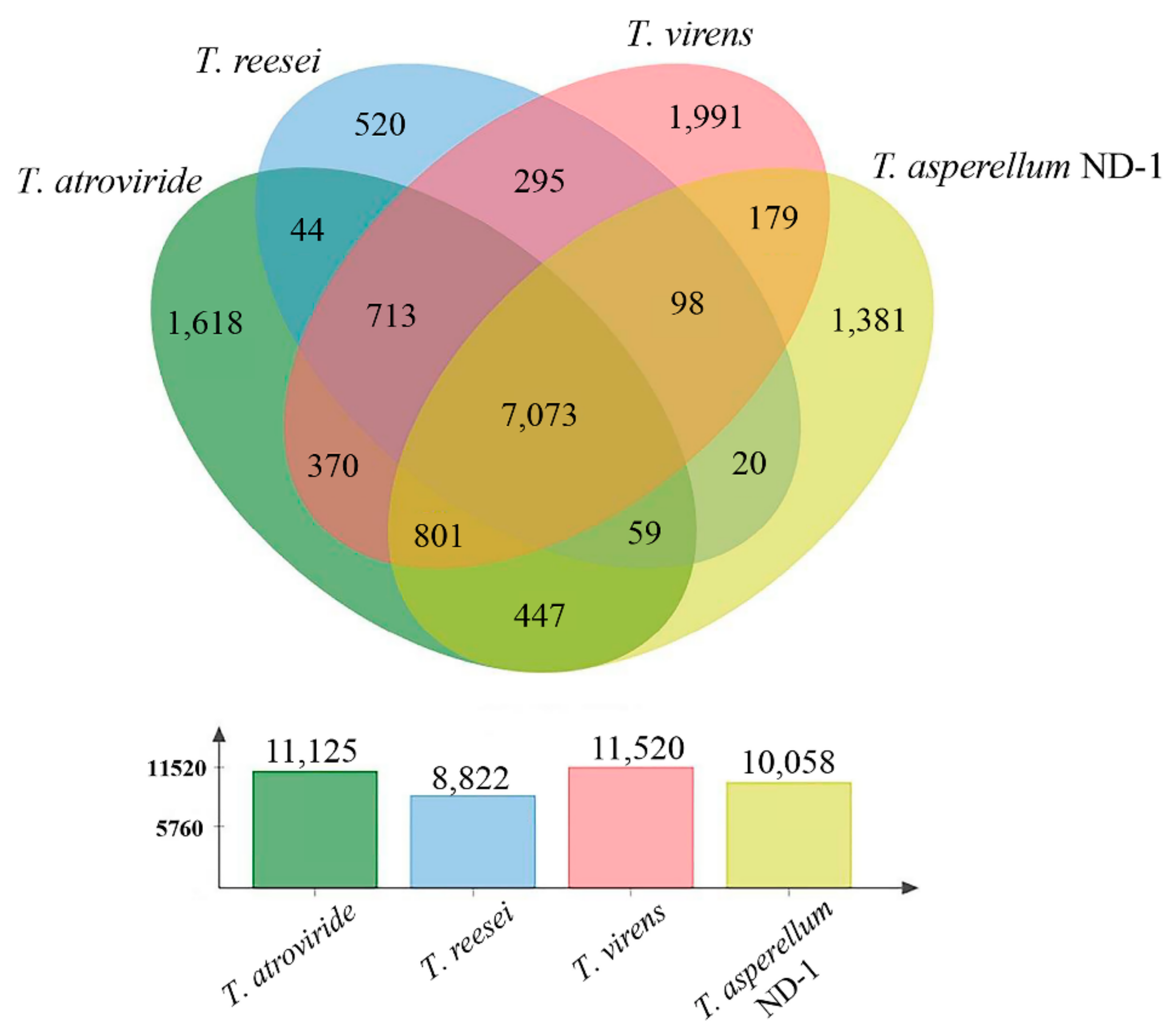 Catalysts 12 00437 g005