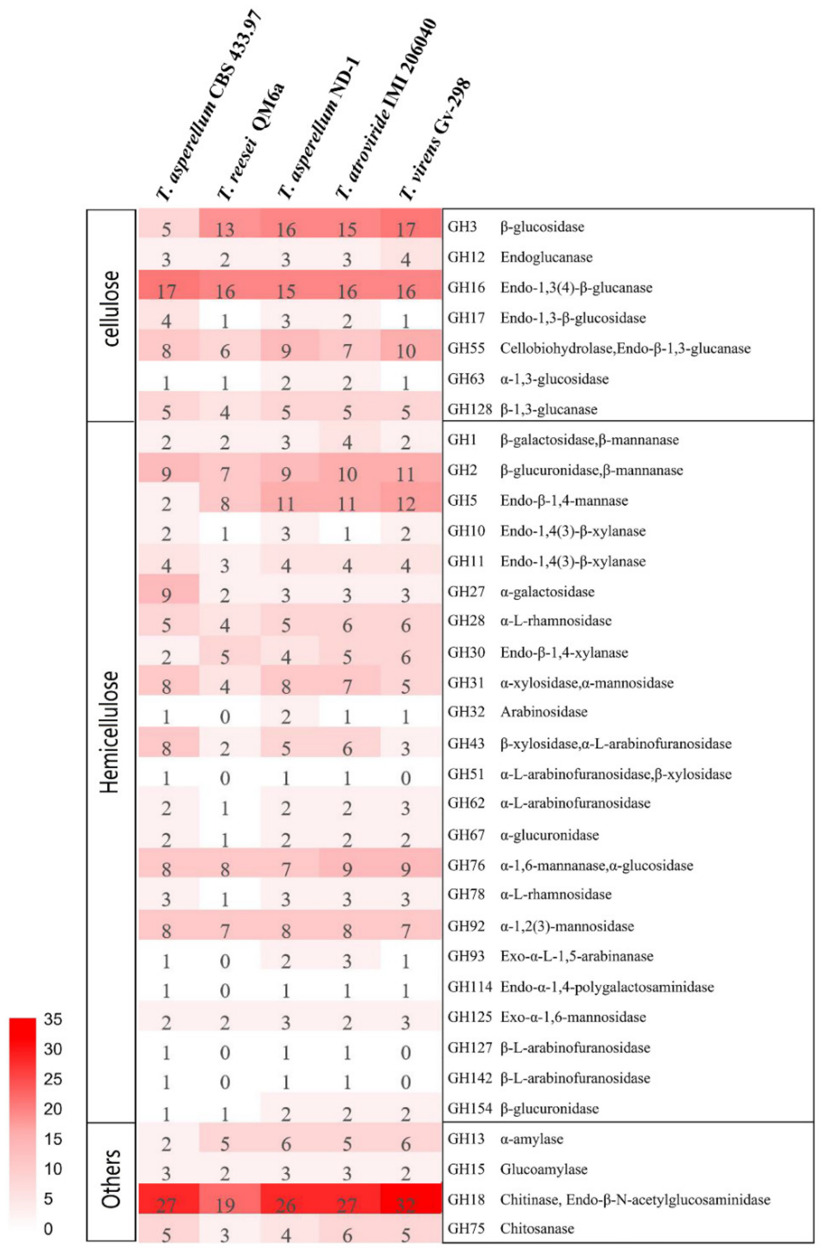 Catalysts 12 00437 g006