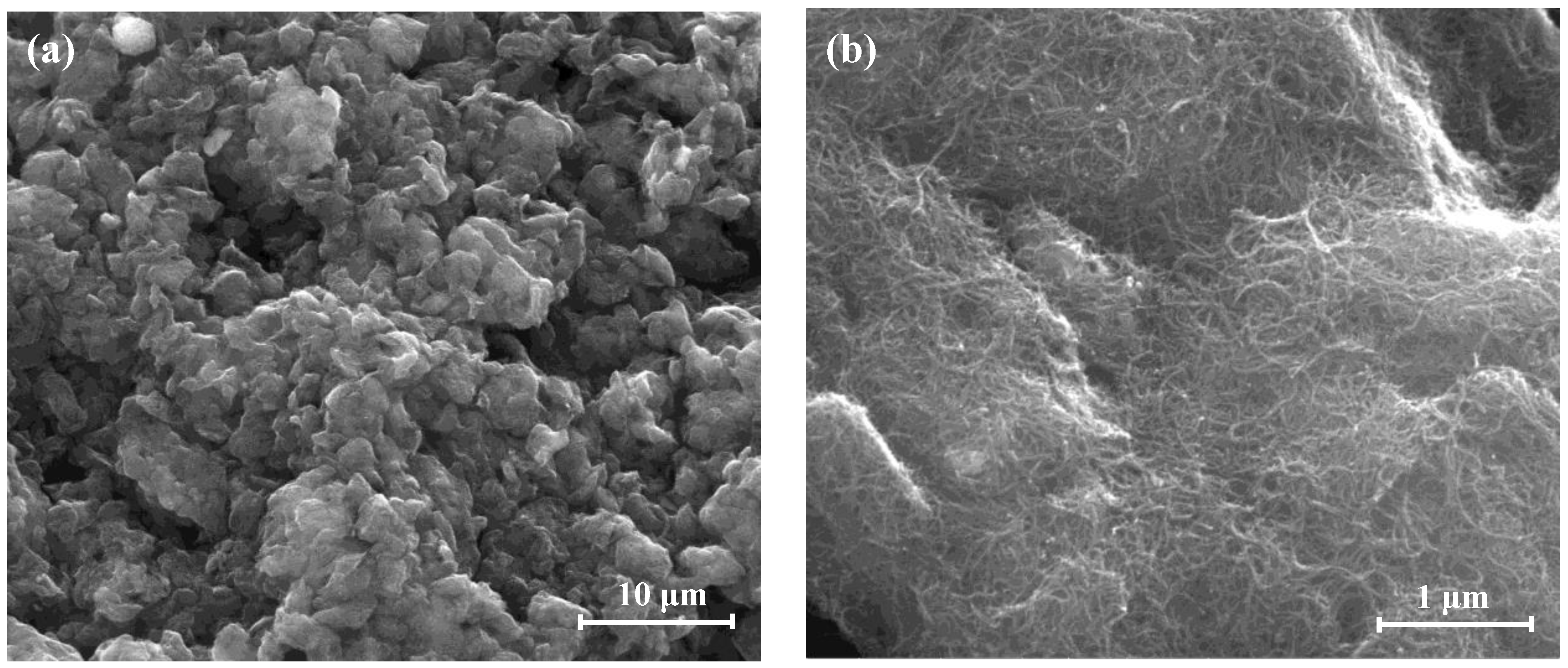 Catalysts 12 00440 g002