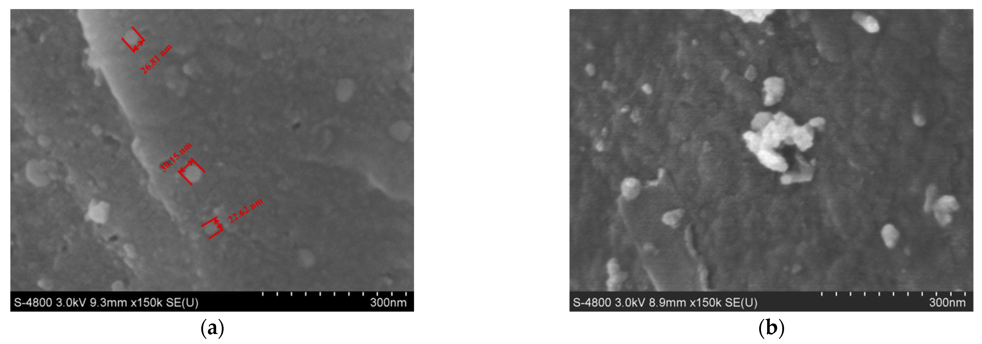 Catalysts 12 00444 g010 550