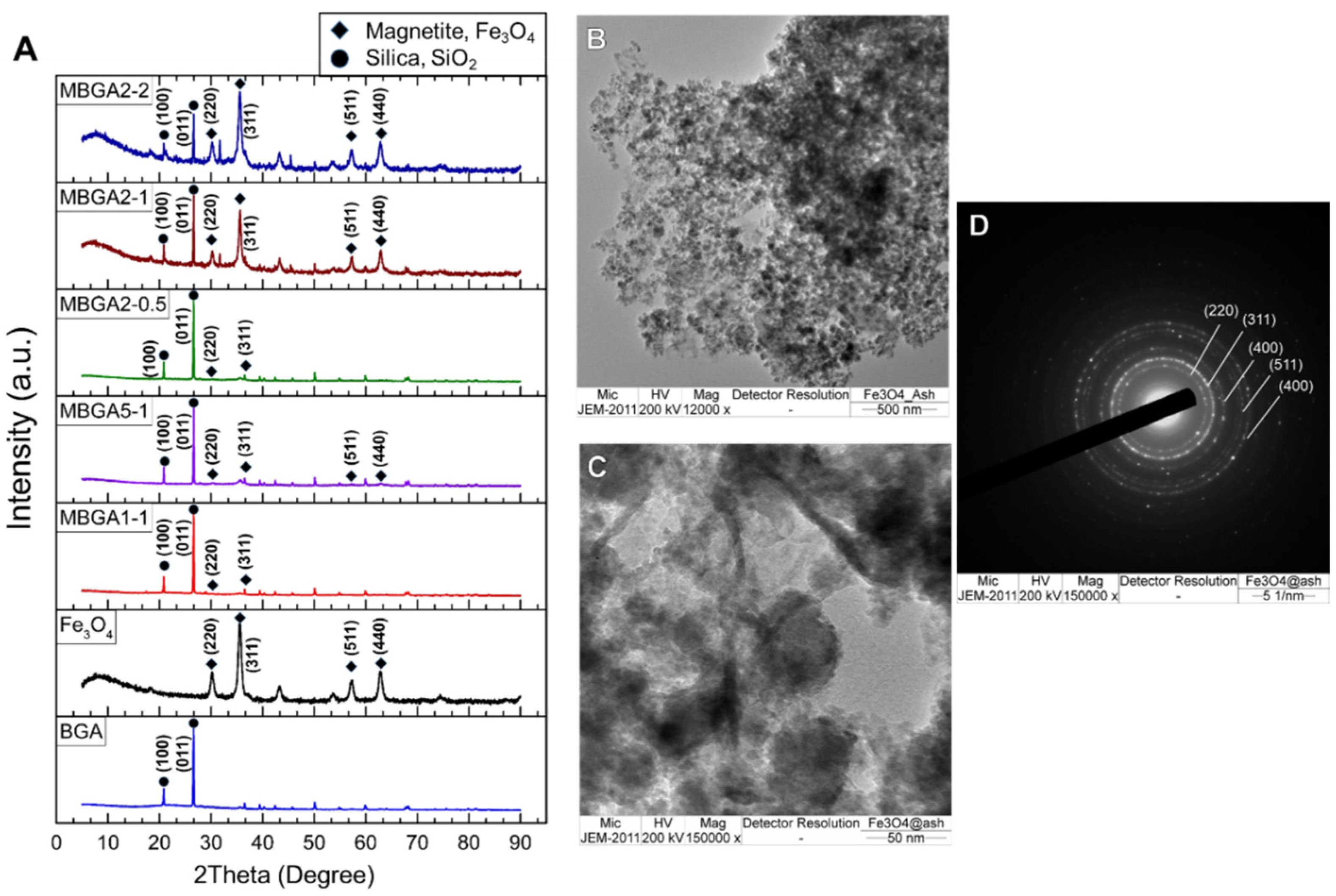 Catalysts 12 00446 g002