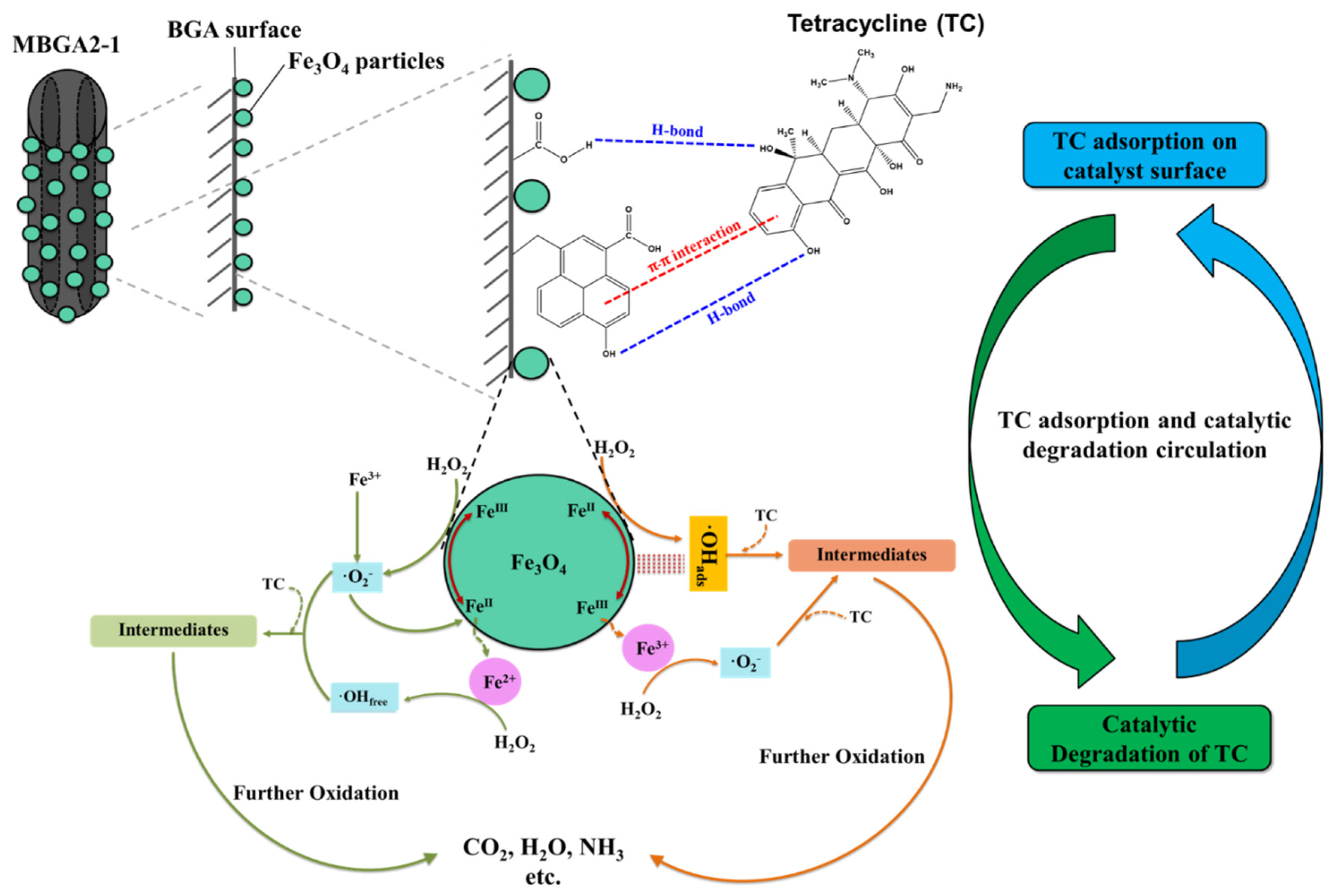 Catalysts 12 00446 g005