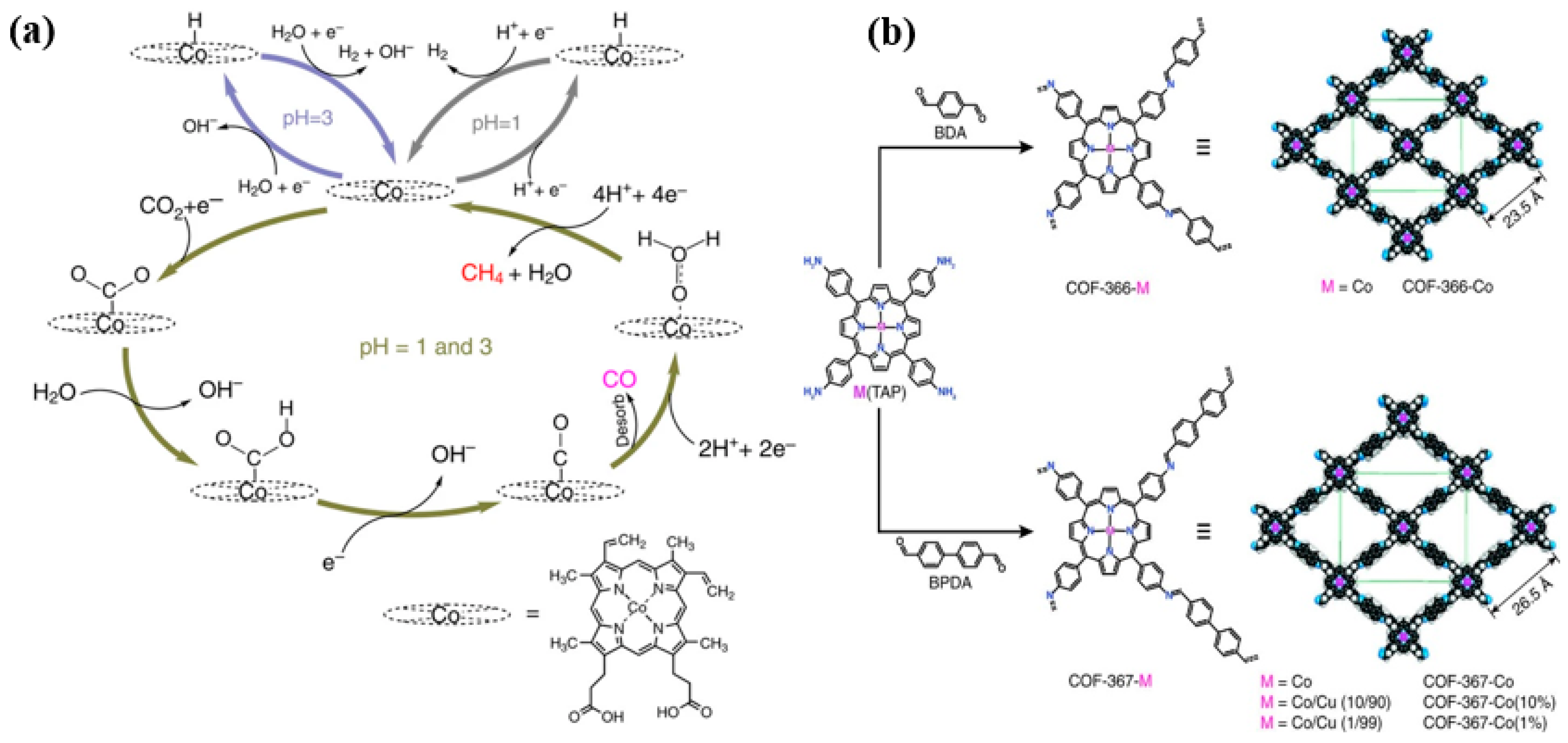 Catalysts 12 00450 g011