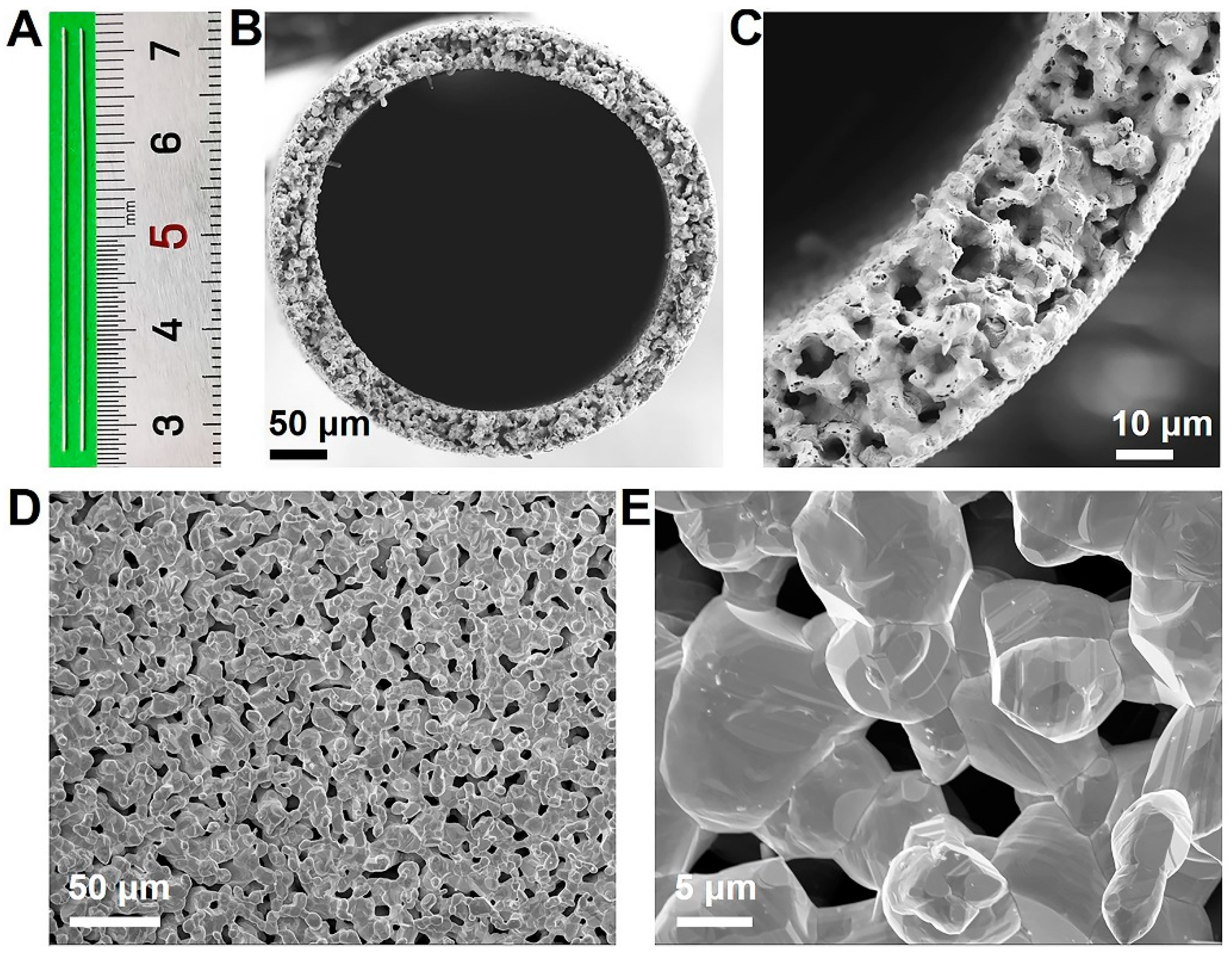 Catalysts 12 00453 g001