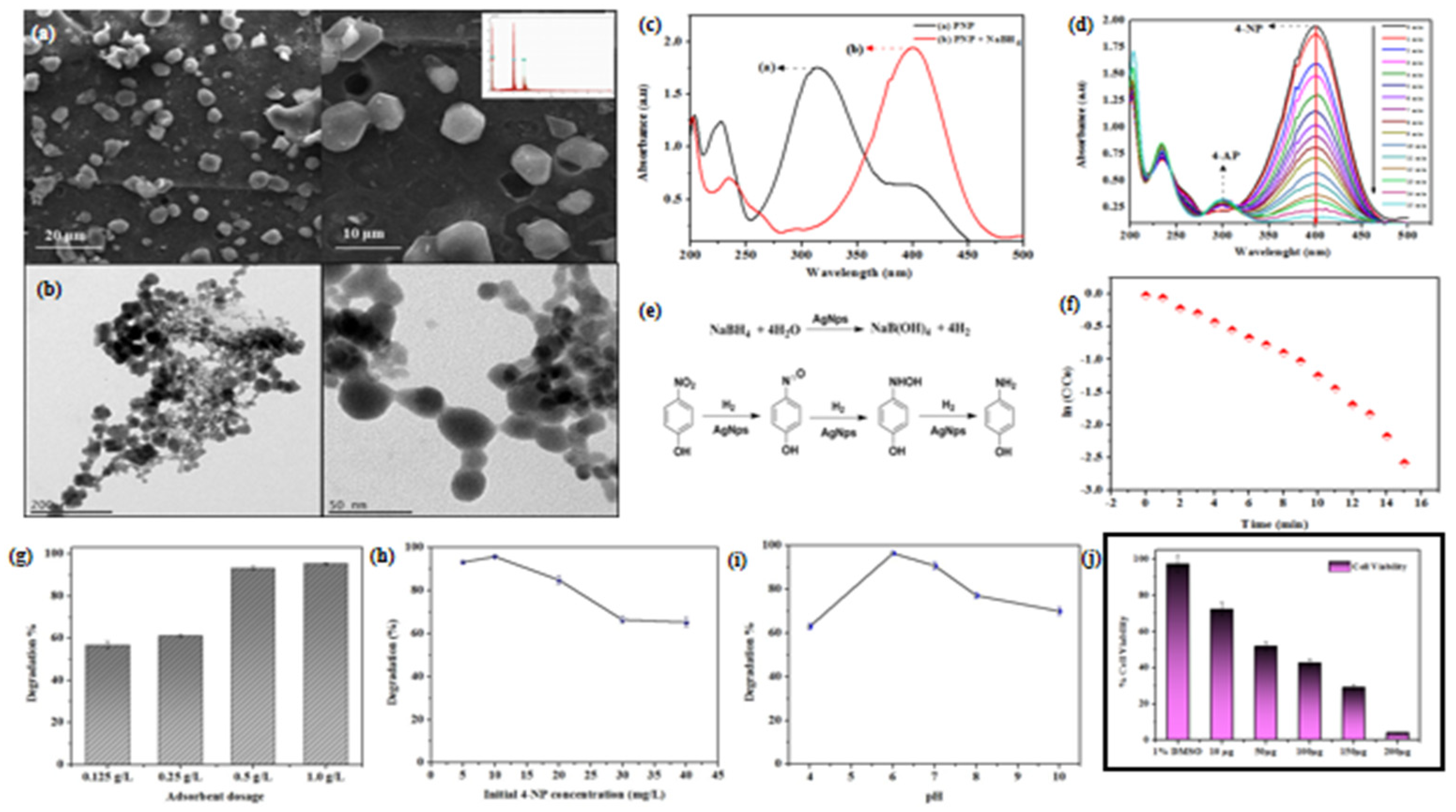 Catalysts 12 00459 g007 Catalysts 12 00459 g007