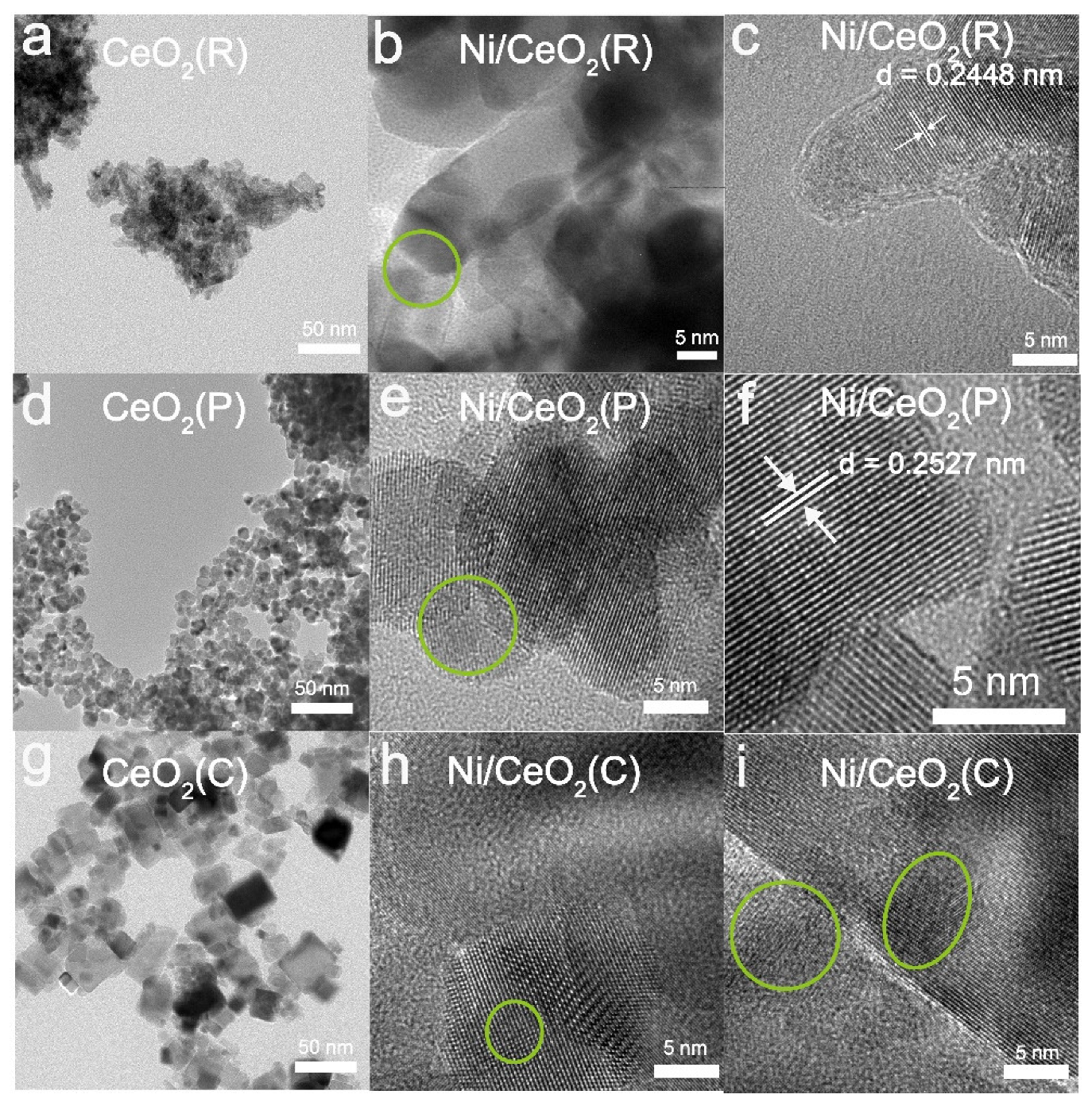 Catalysts 12 00460 g004