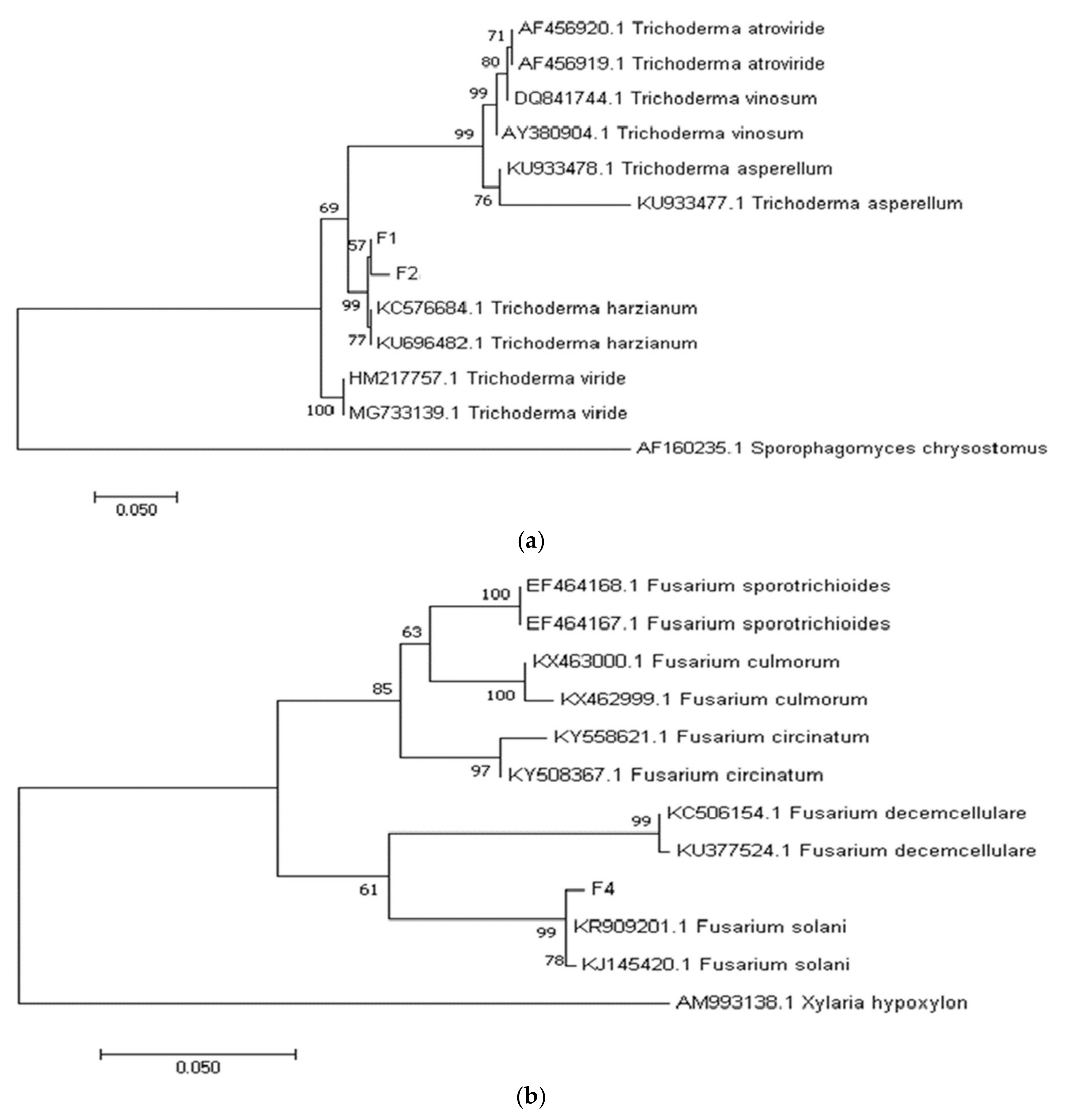 Catalysts 12 00461 g008 550