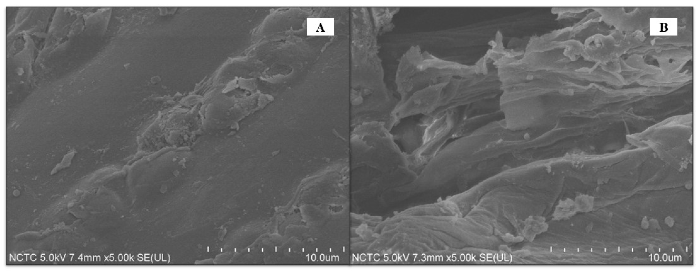 Catalysts 12 00463 g002