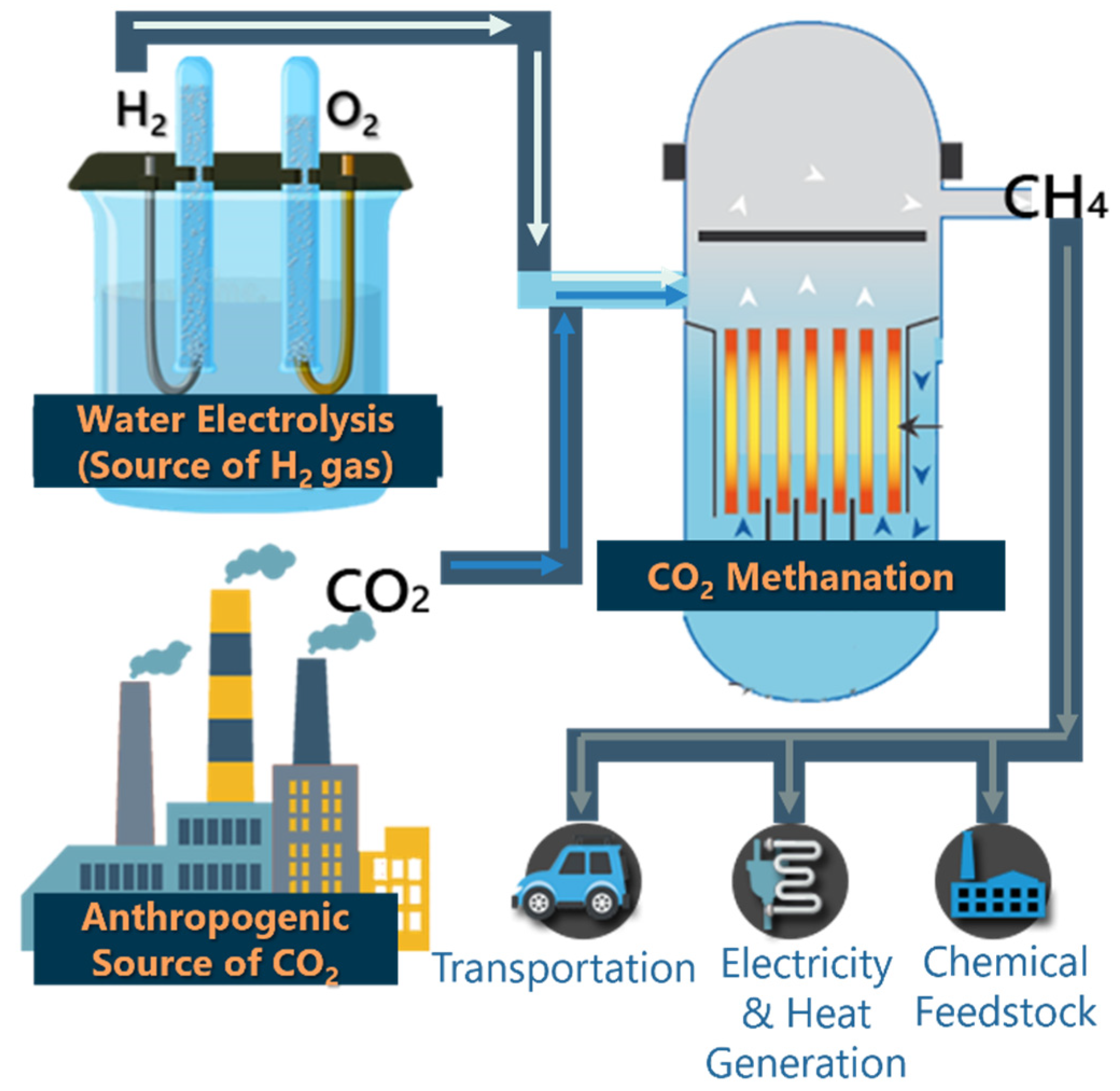 Catalysts 12 00469 g001