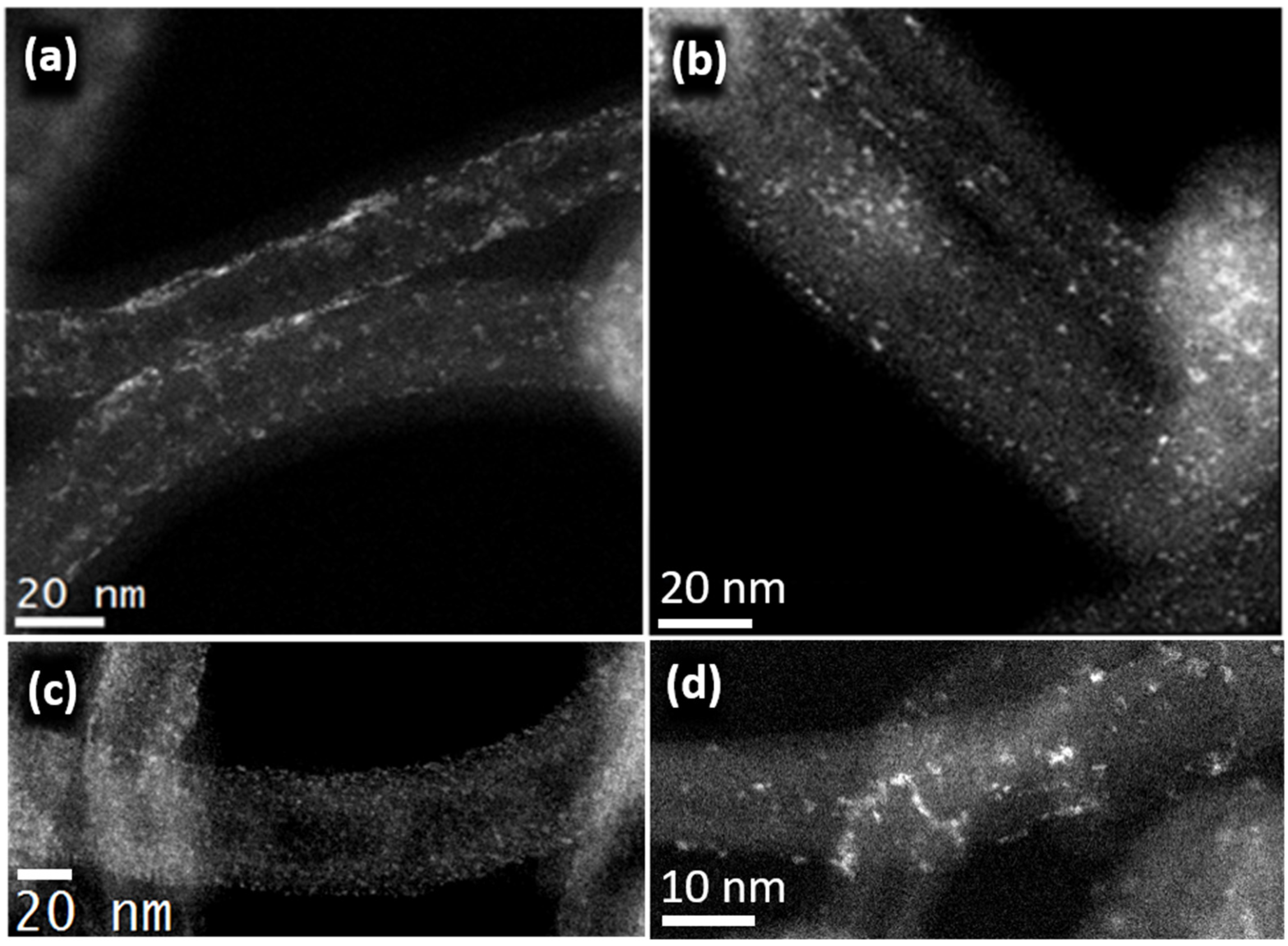 Catalysts 12 00472 g005