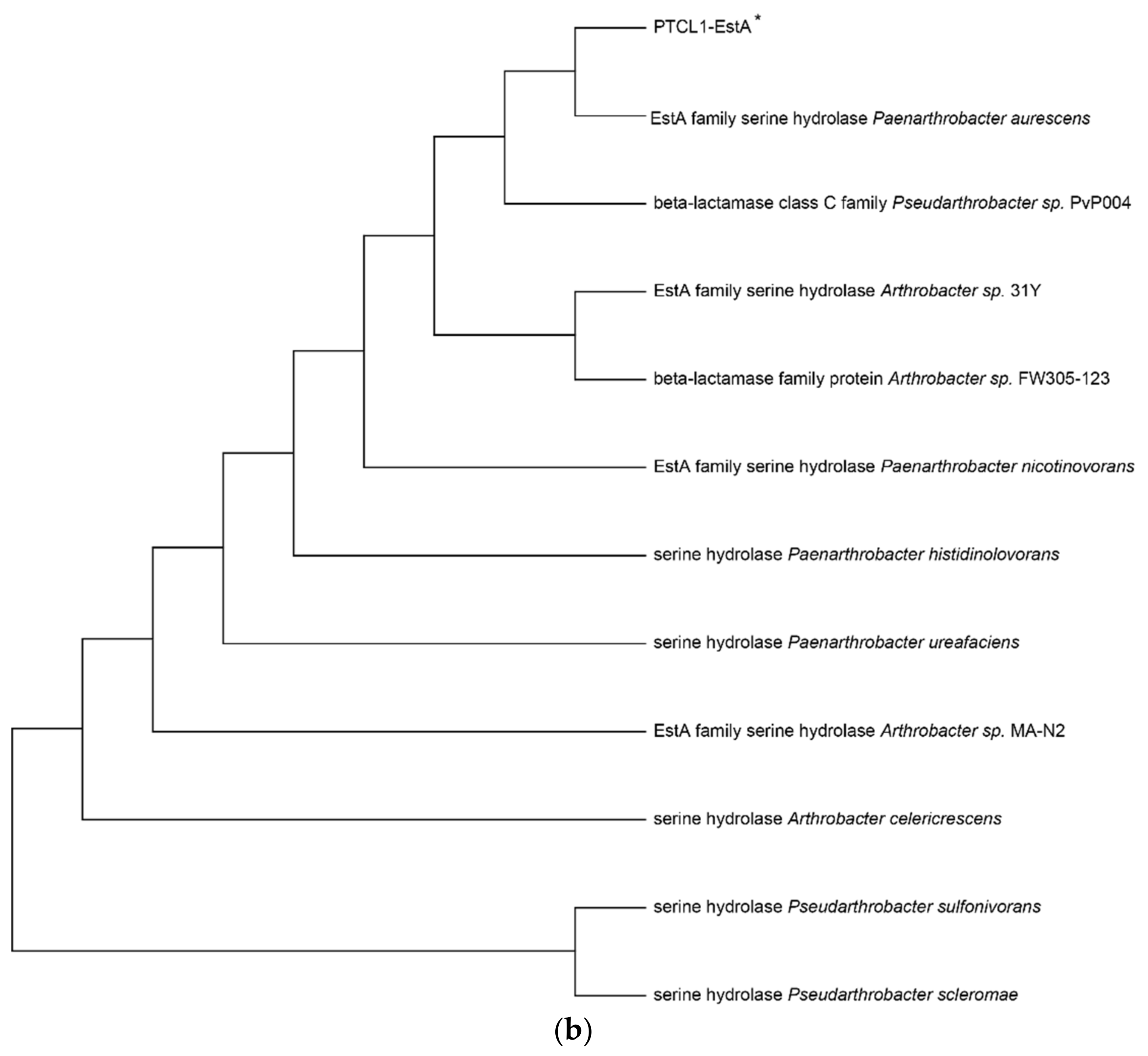 Catalysts 12 00473 g001b Catalysts 12 00473 g001b