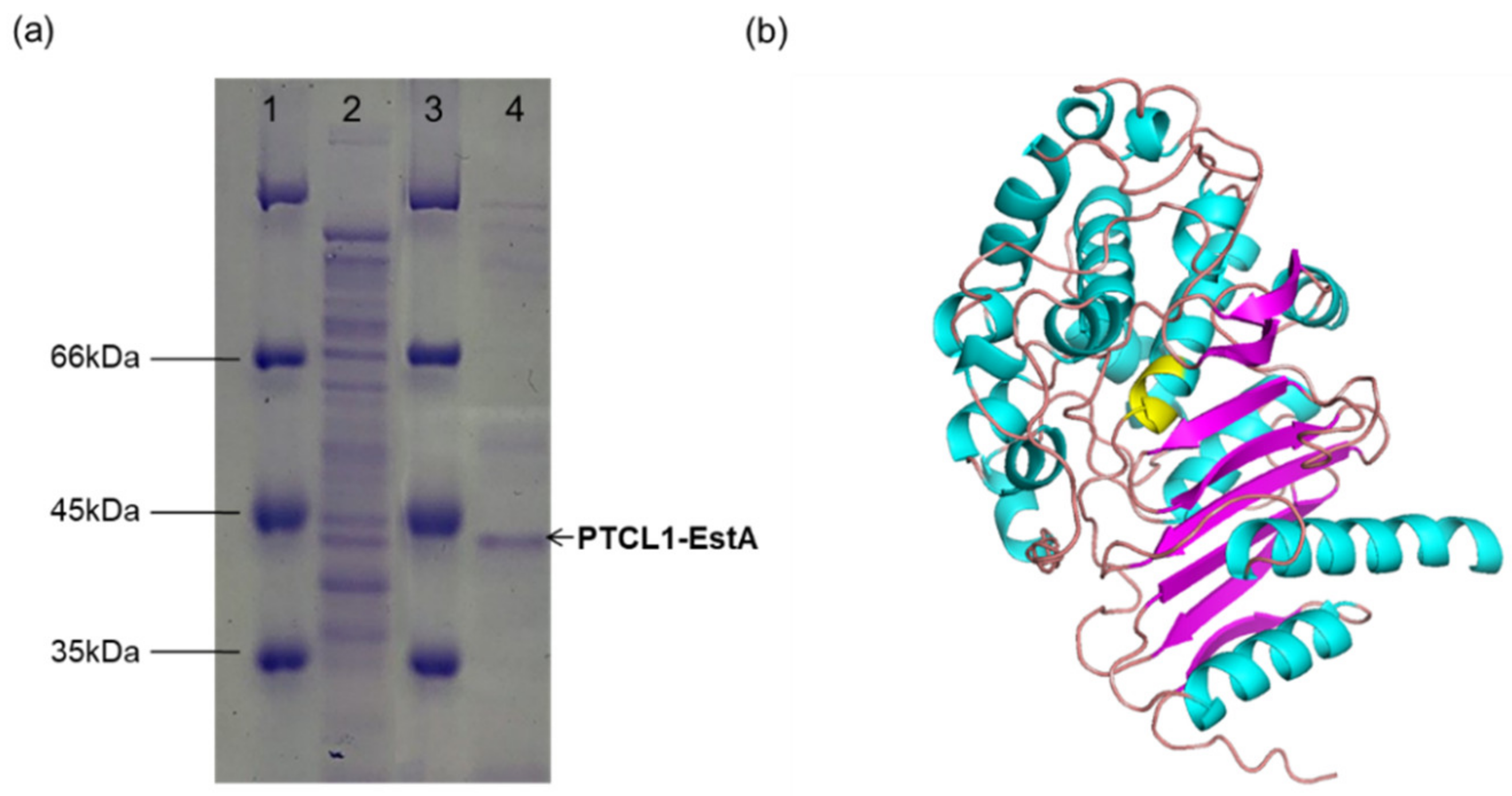 Catalysts 12 00473 g002 Catalysts 12 00473 g002