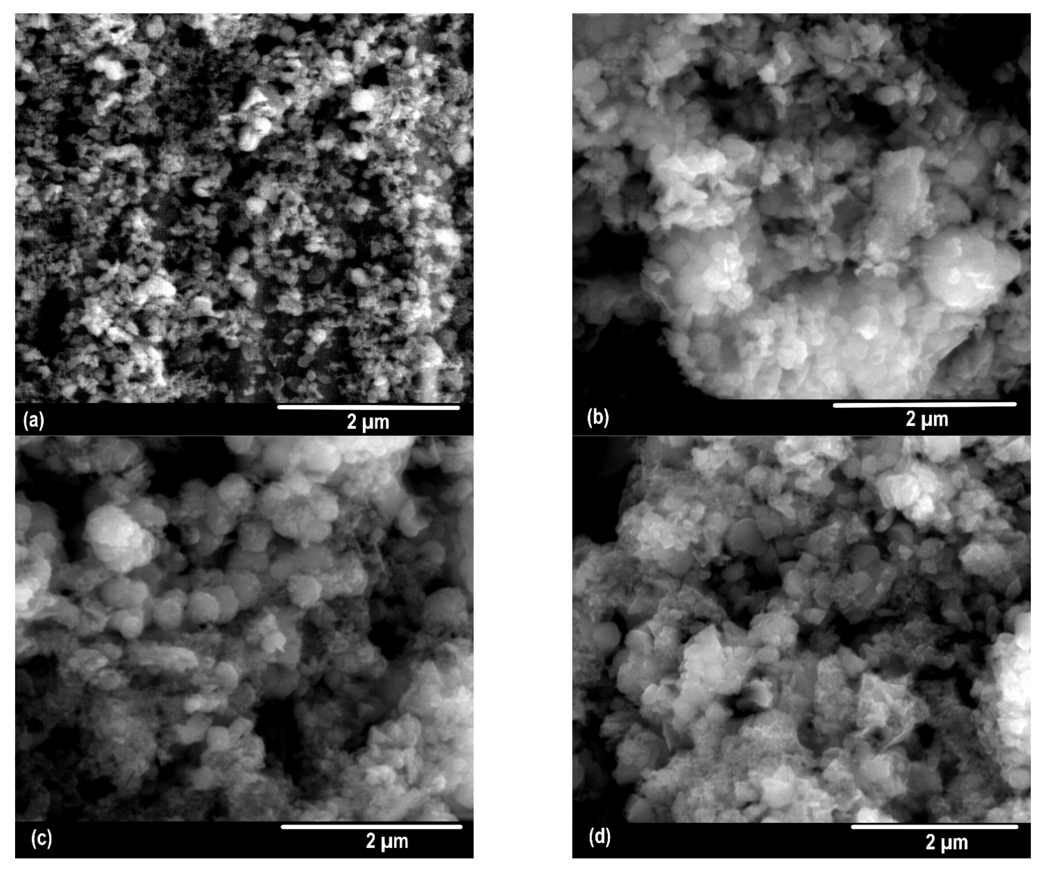 Catalysts 12 00490 g003