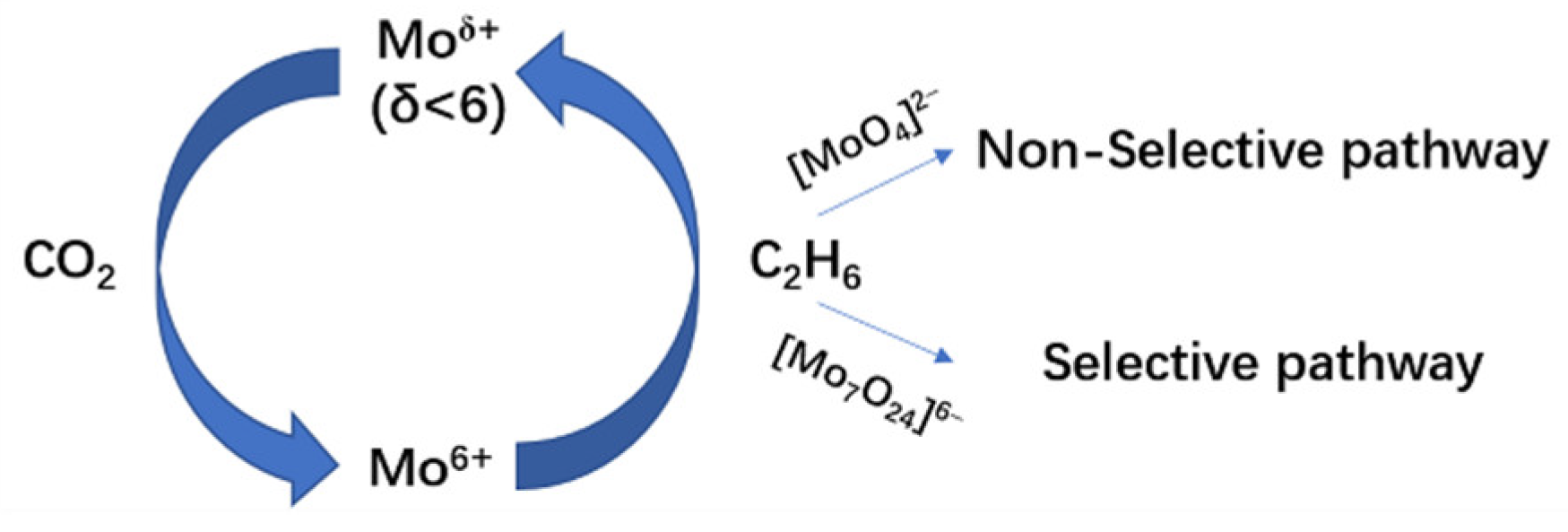 Catalysts 12 00493 g009