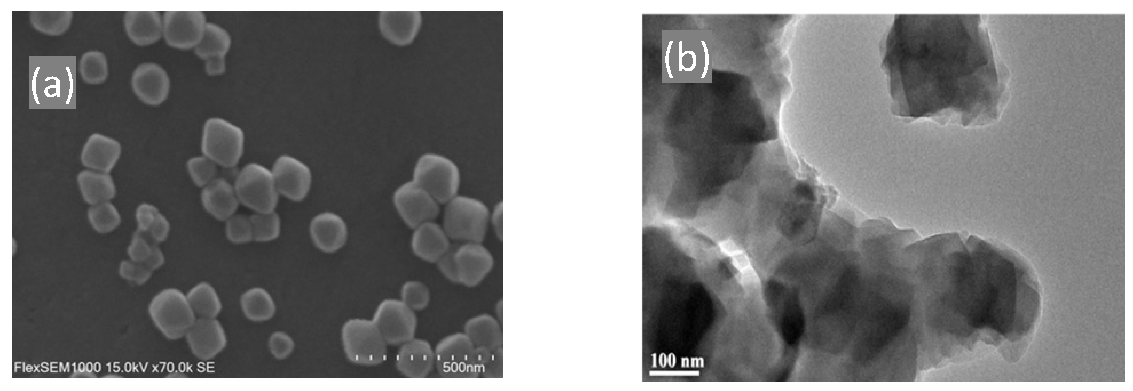 Catalysts 12 00494 g006