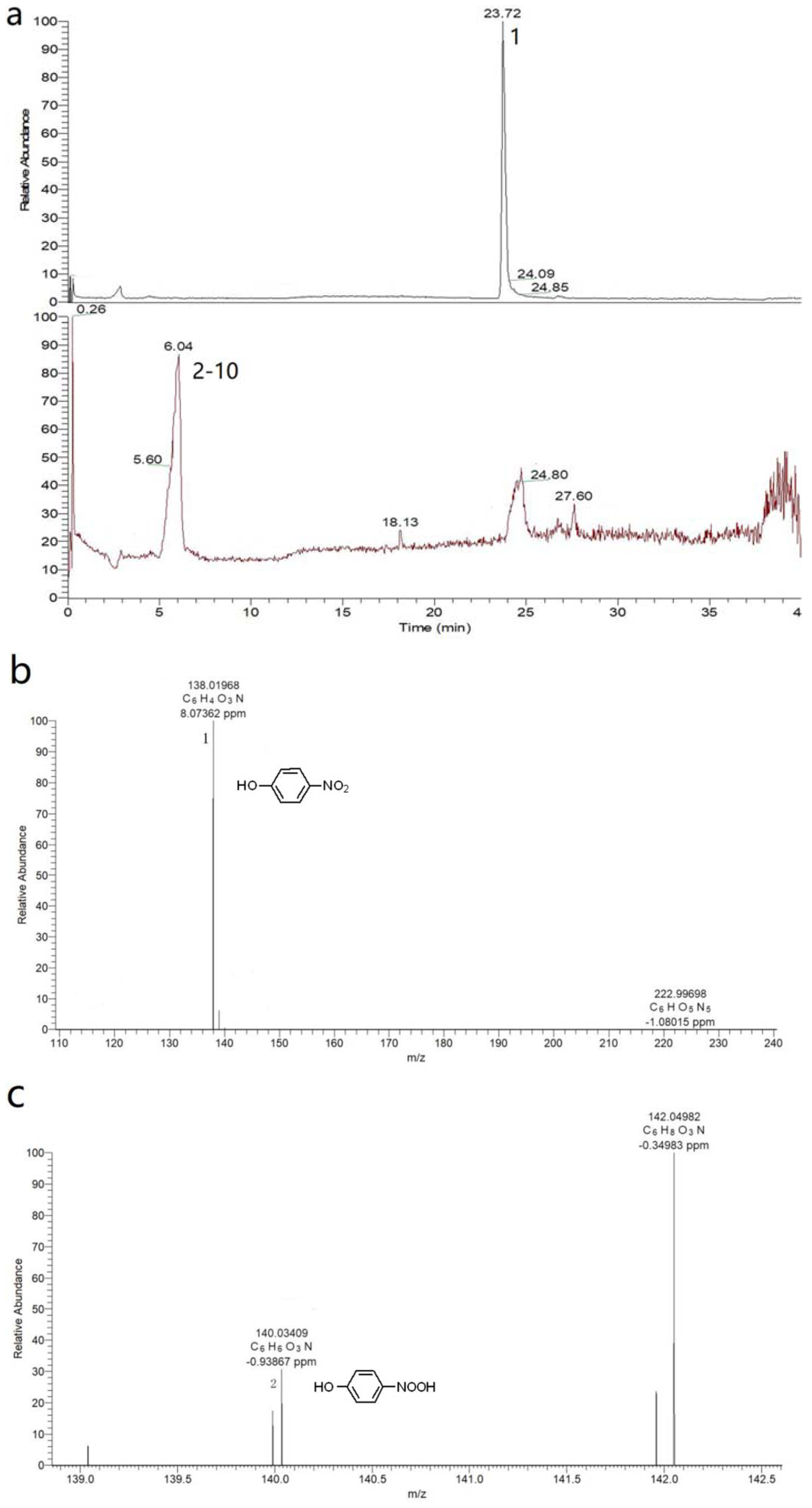 Catalysts 12 00499 g002a 550