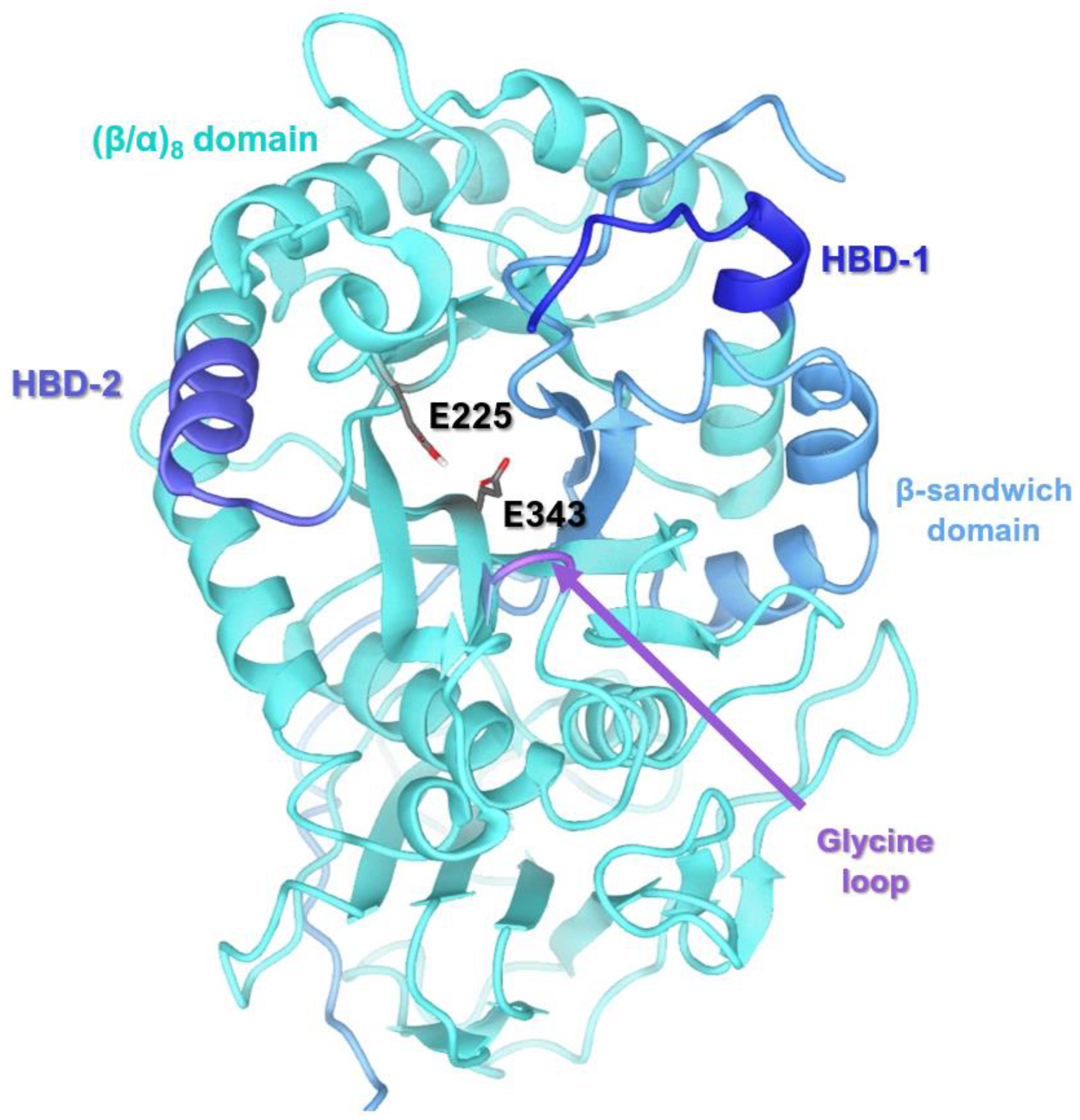 Catalysts 12 00503 g001