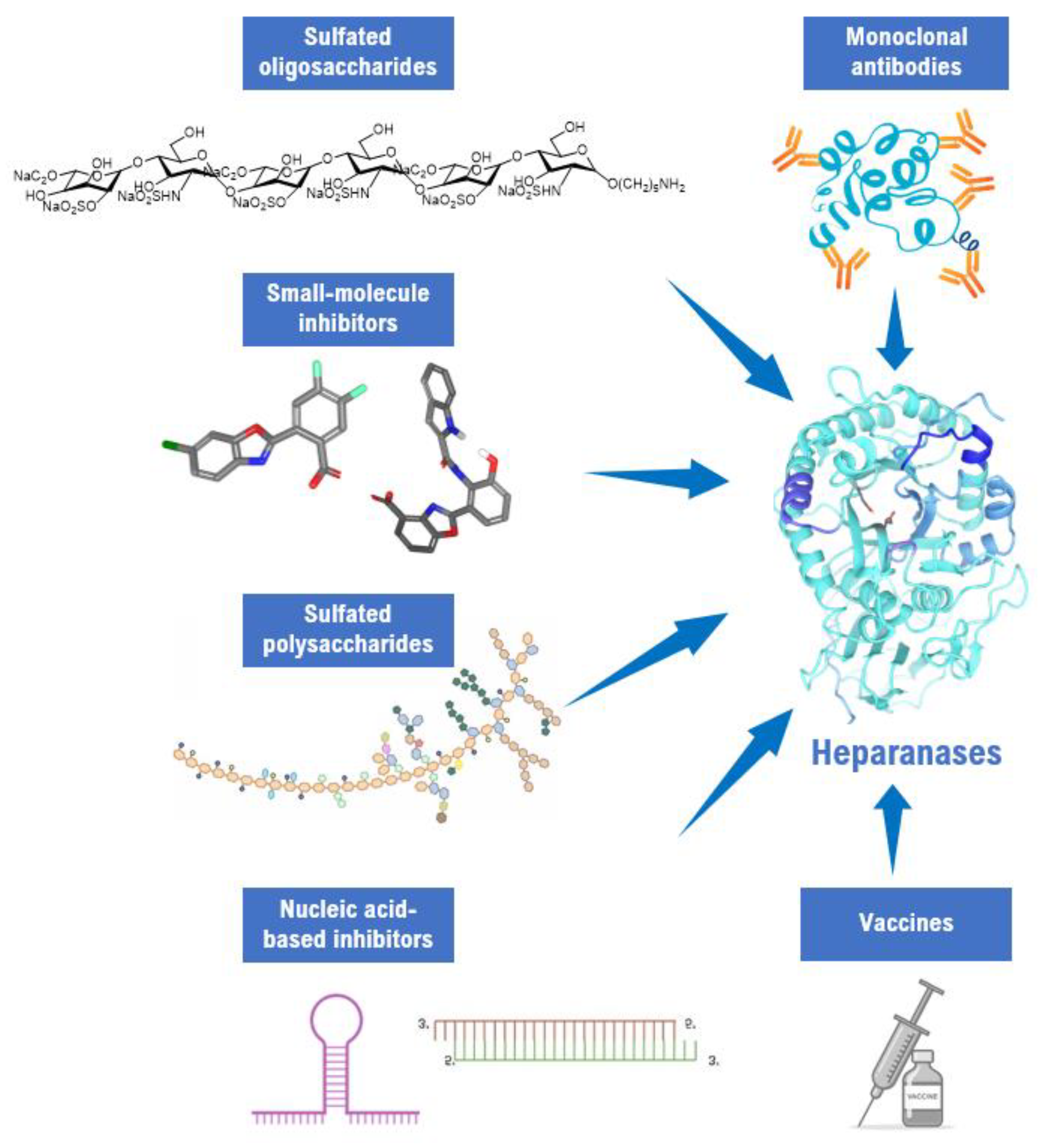 Catalysts 12 00503 g002