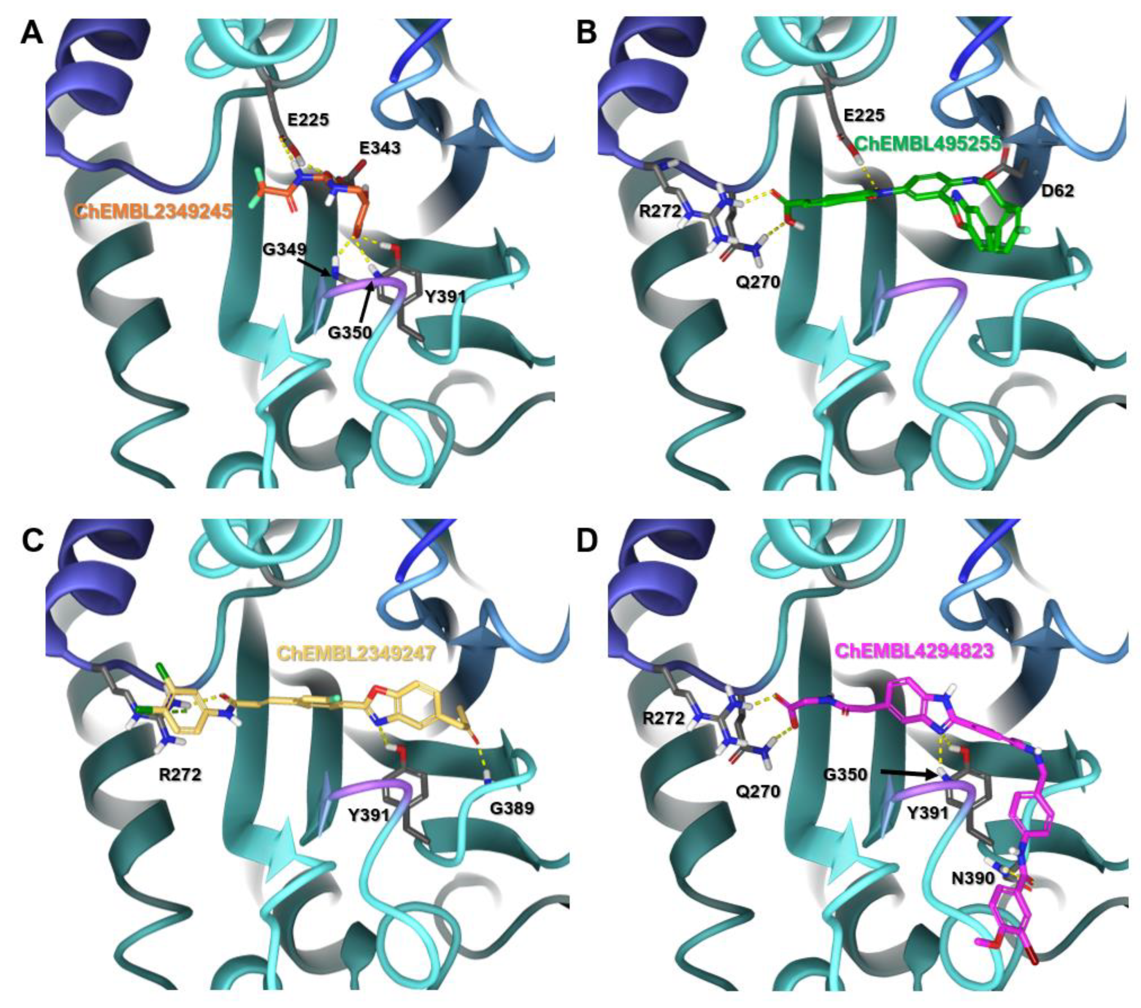 Catalysts 12 00503 g003