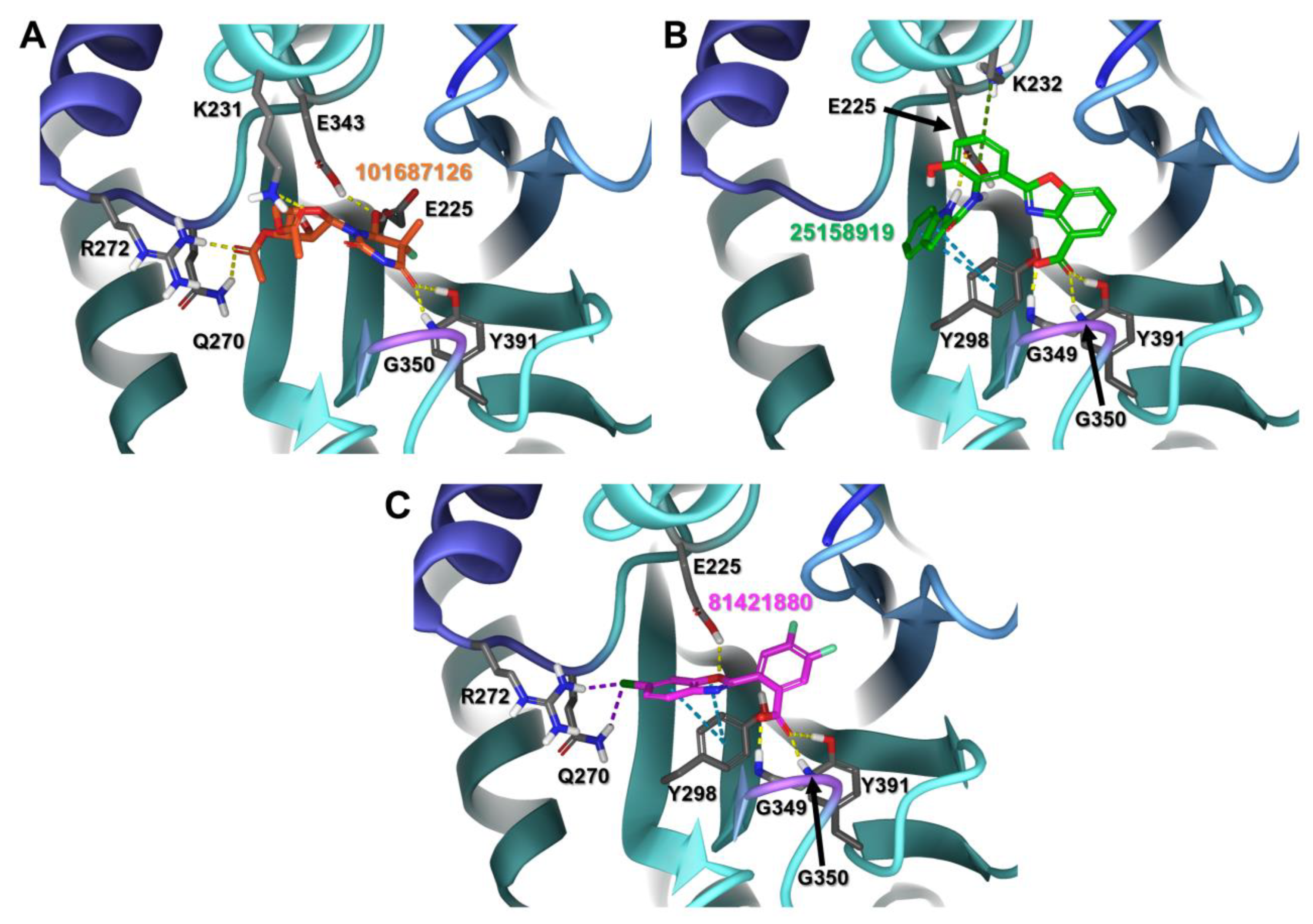 Catalysts 12 00503 g004