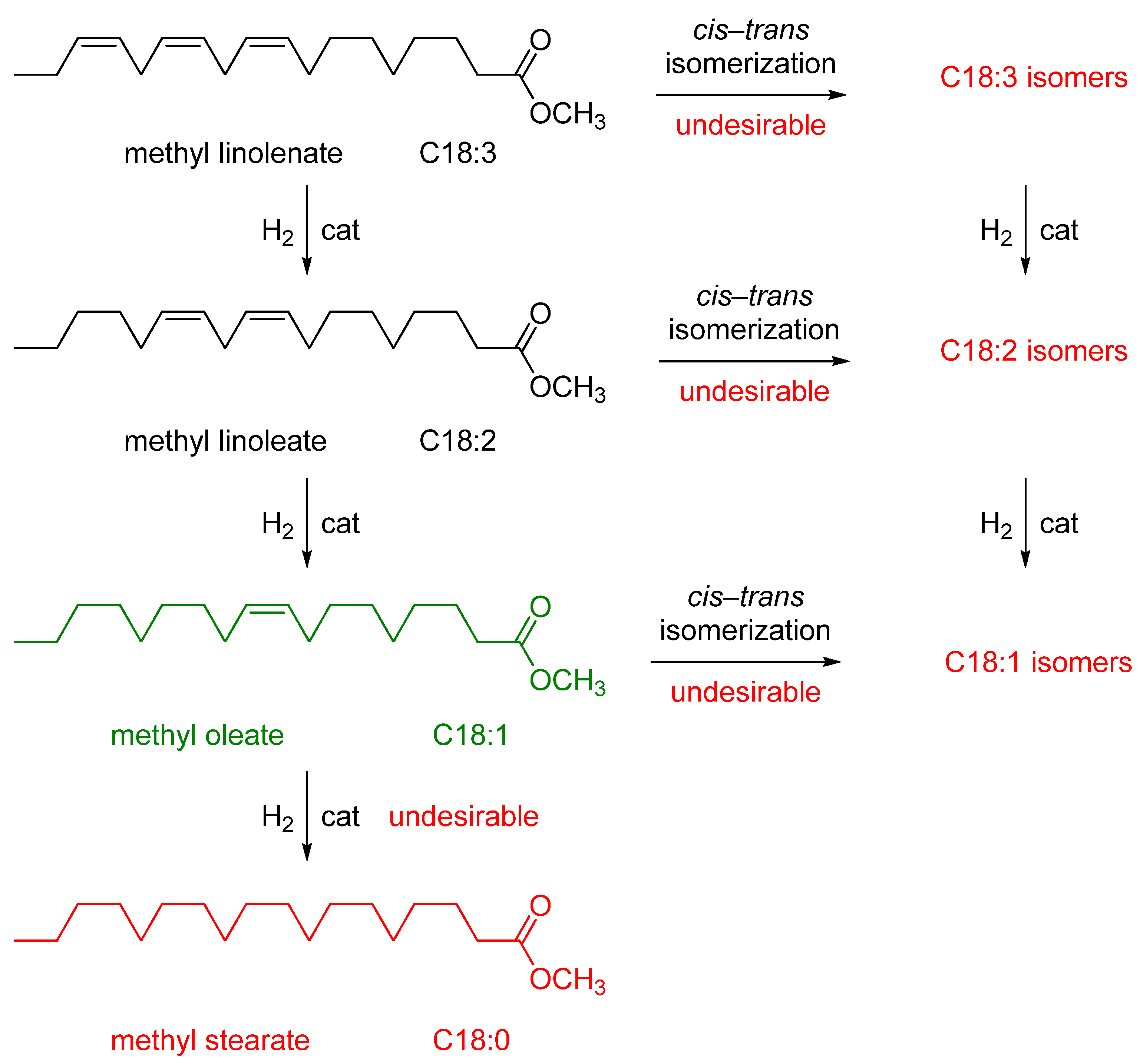 Catalysts 12 00506 sch001