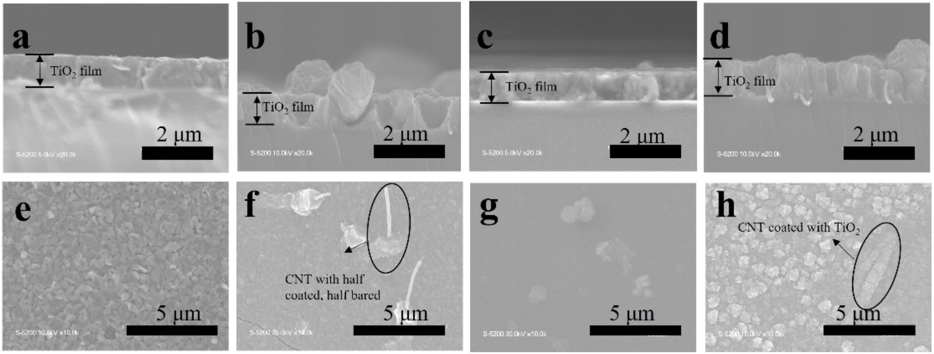 Catalysts 12 00508 g002 550