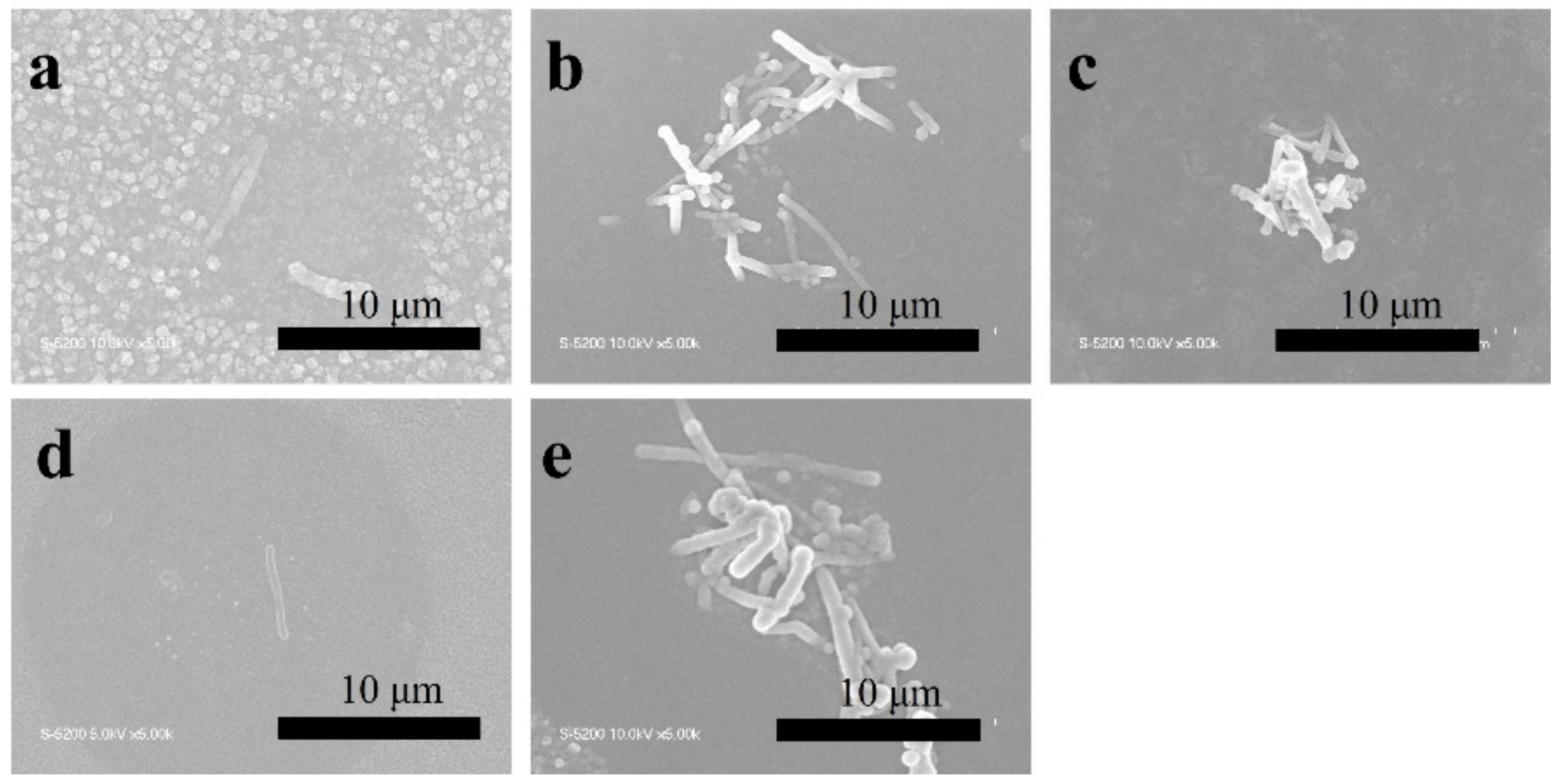 Catalysts 12 00508 g004 550