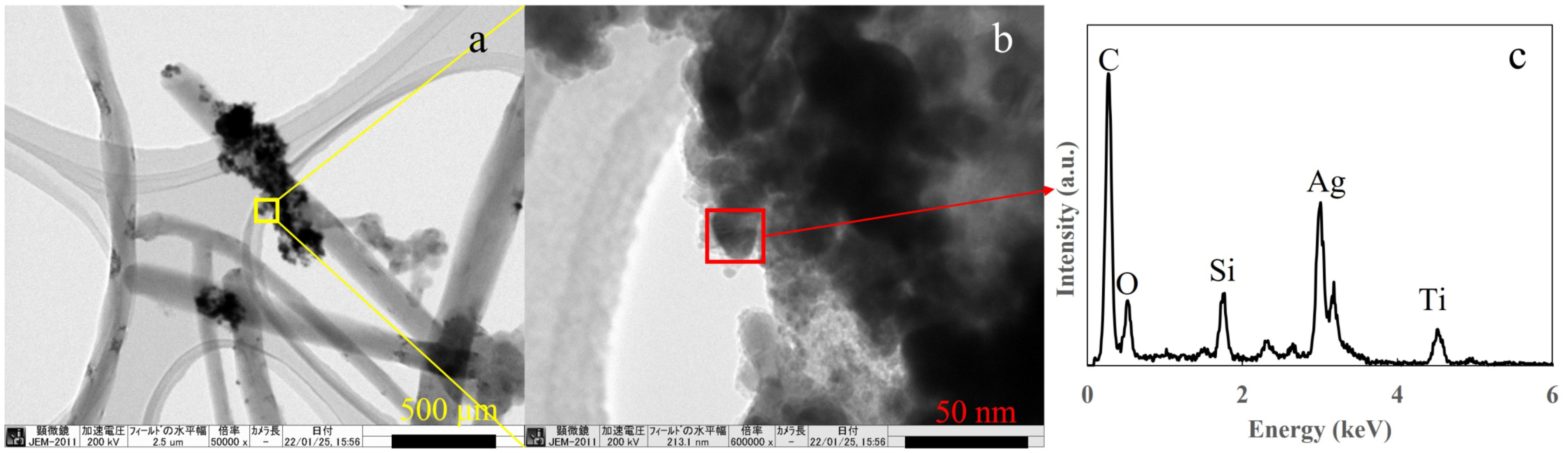 Catalysts 12 00508 g005 550