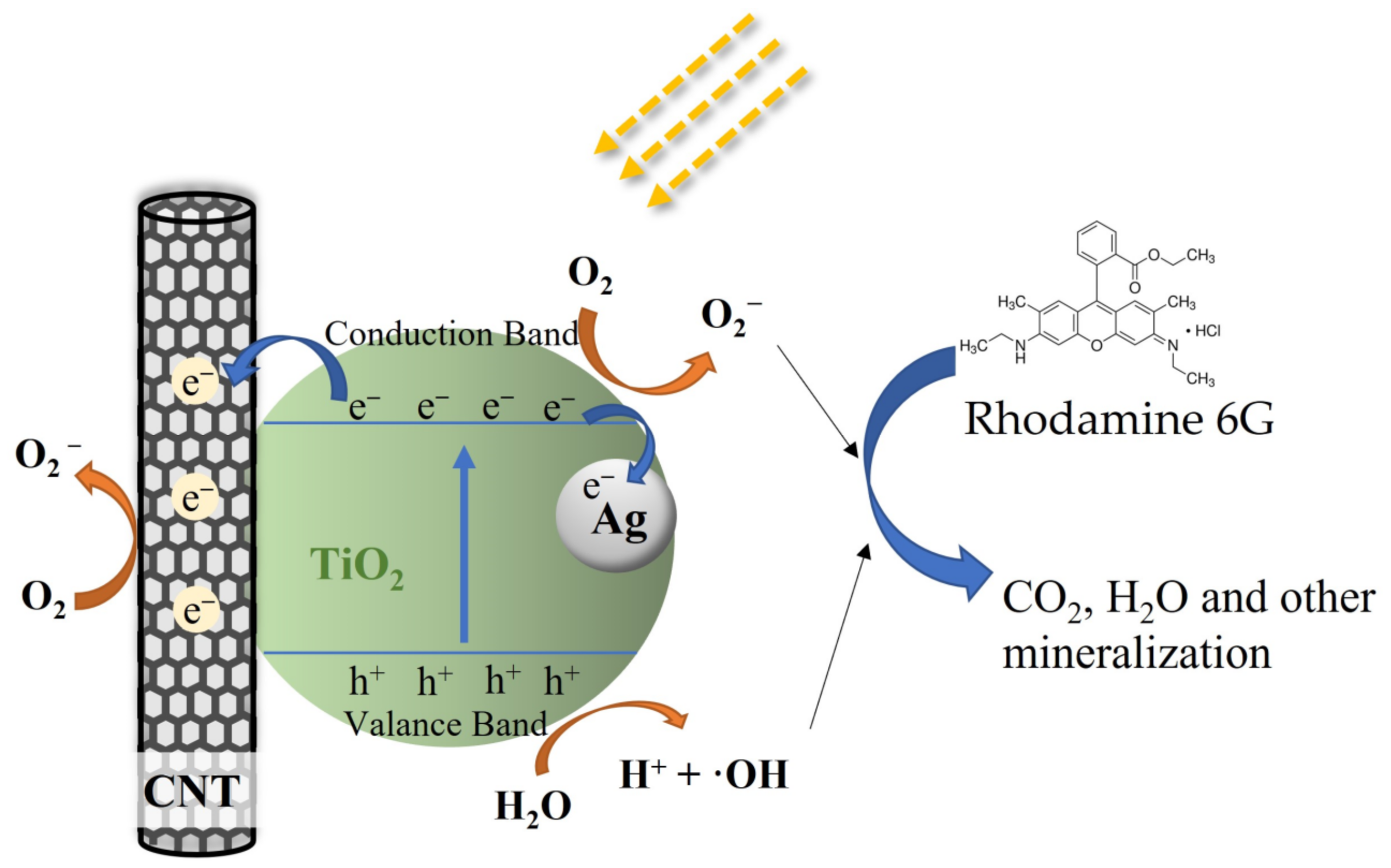 Catalysts 12 00508 g011 550