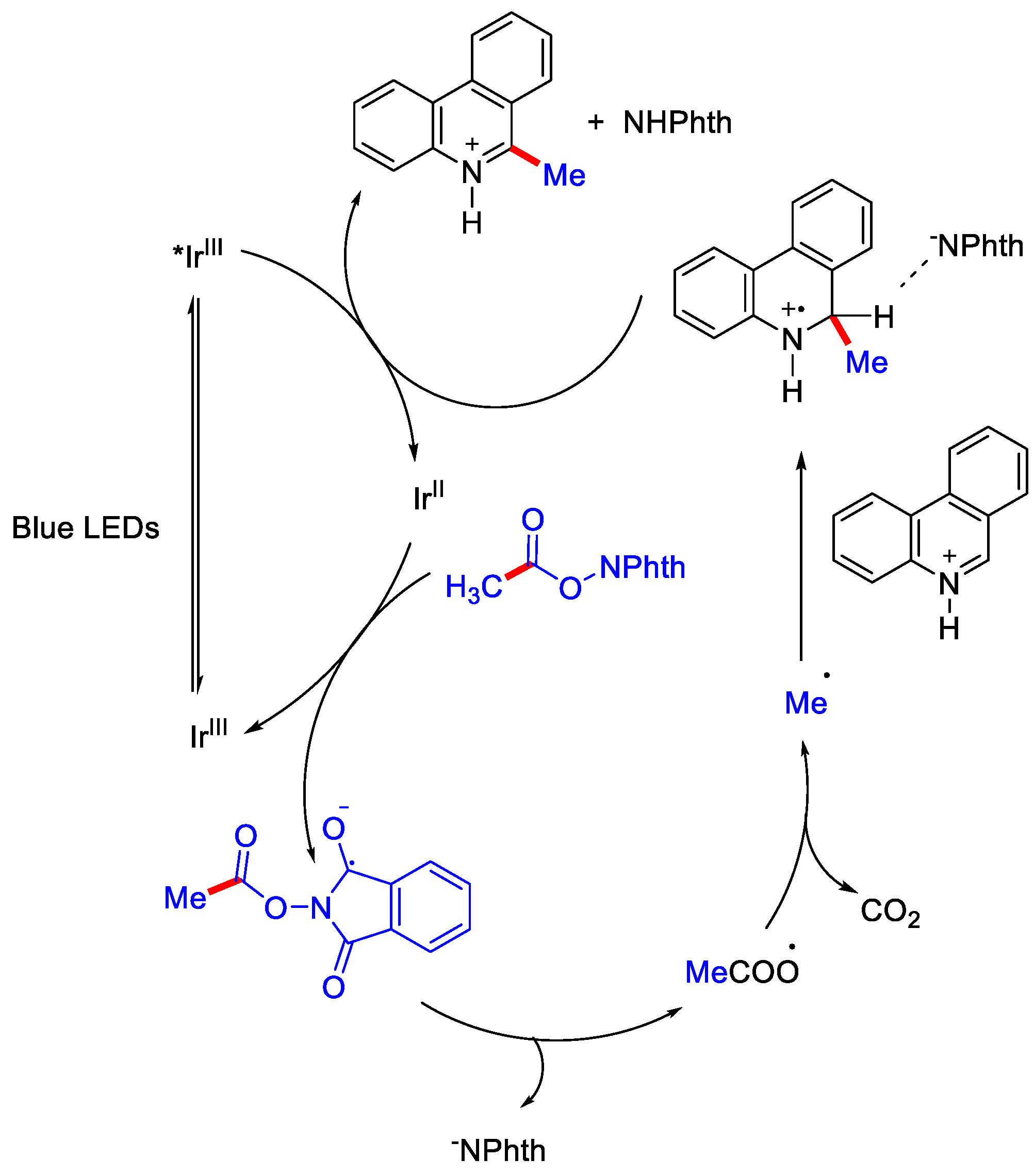 Catalysts 12 00510 sch009