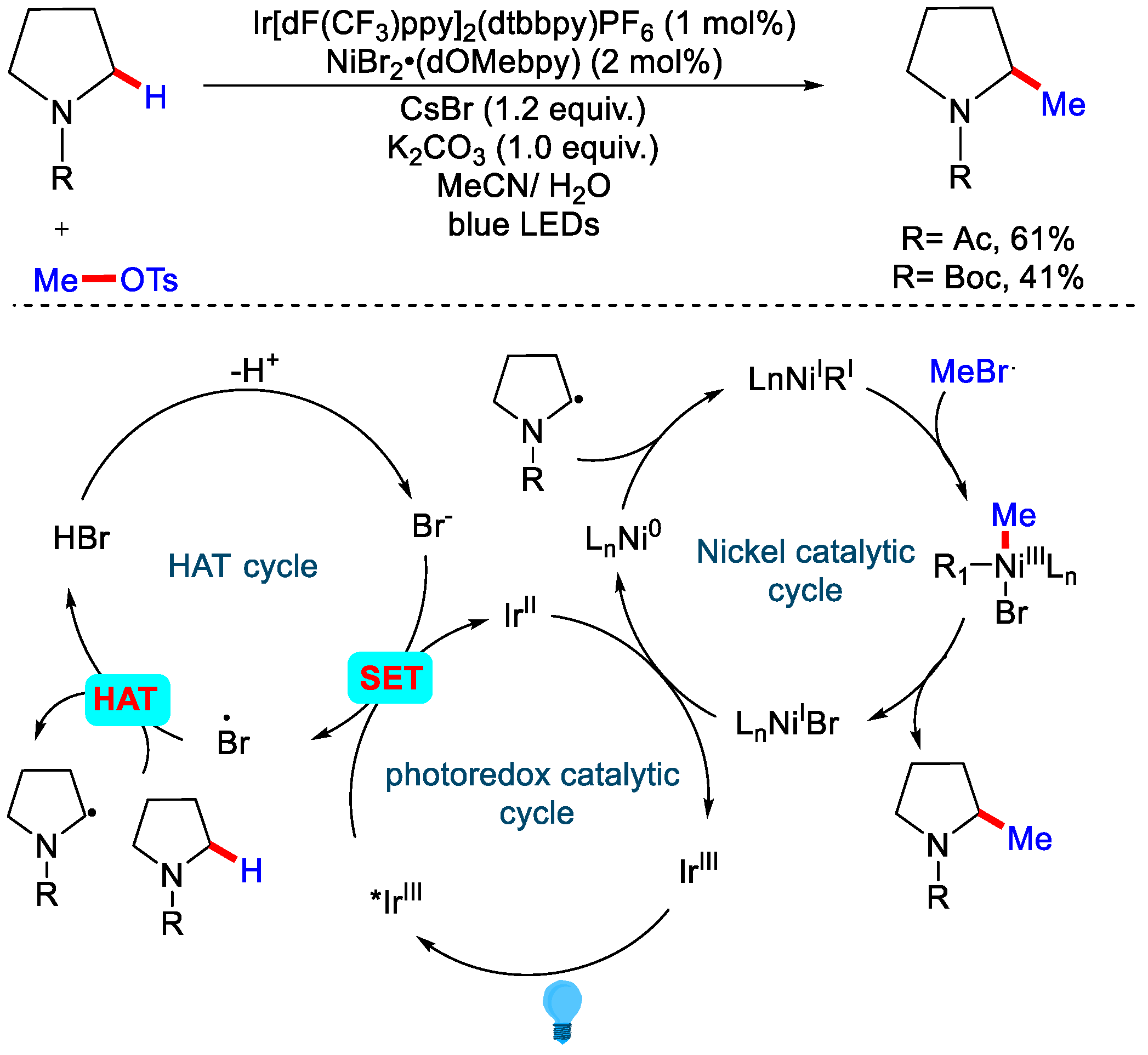 Catalysts 12 00510 sch016