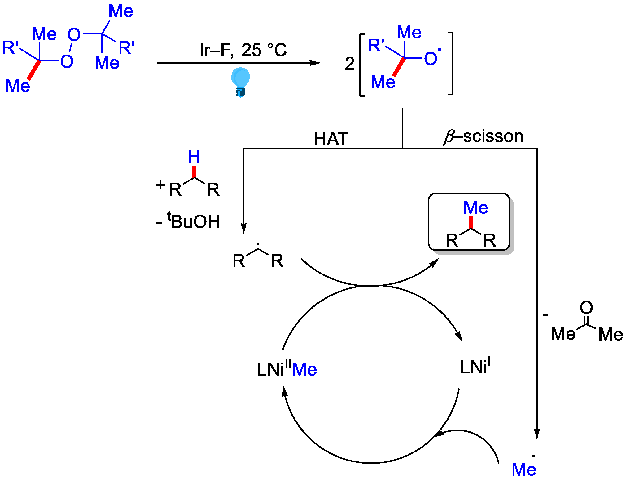 Catalysts 12 00510 sch019