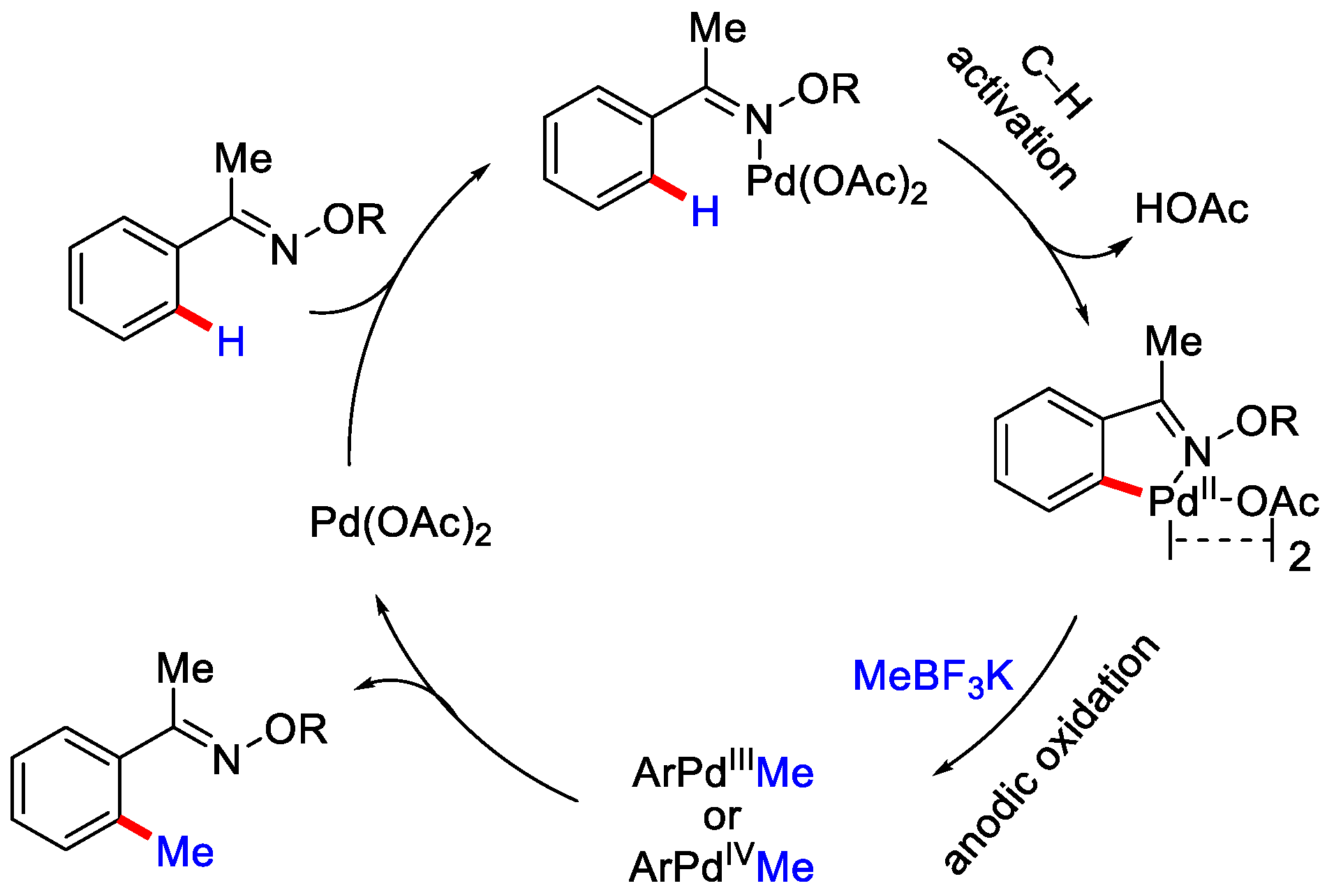 Catalysts 12 00510 sch021