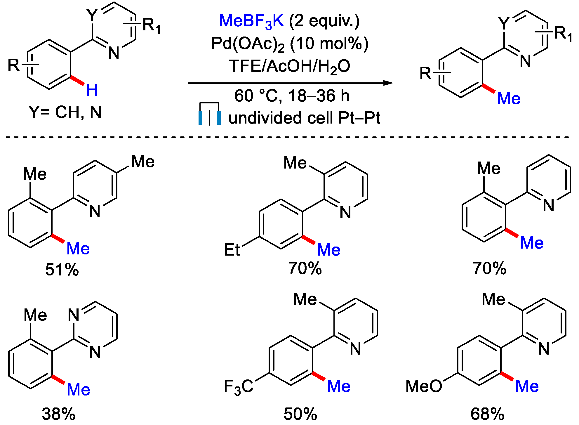 Catalysts 12 00510 sch022