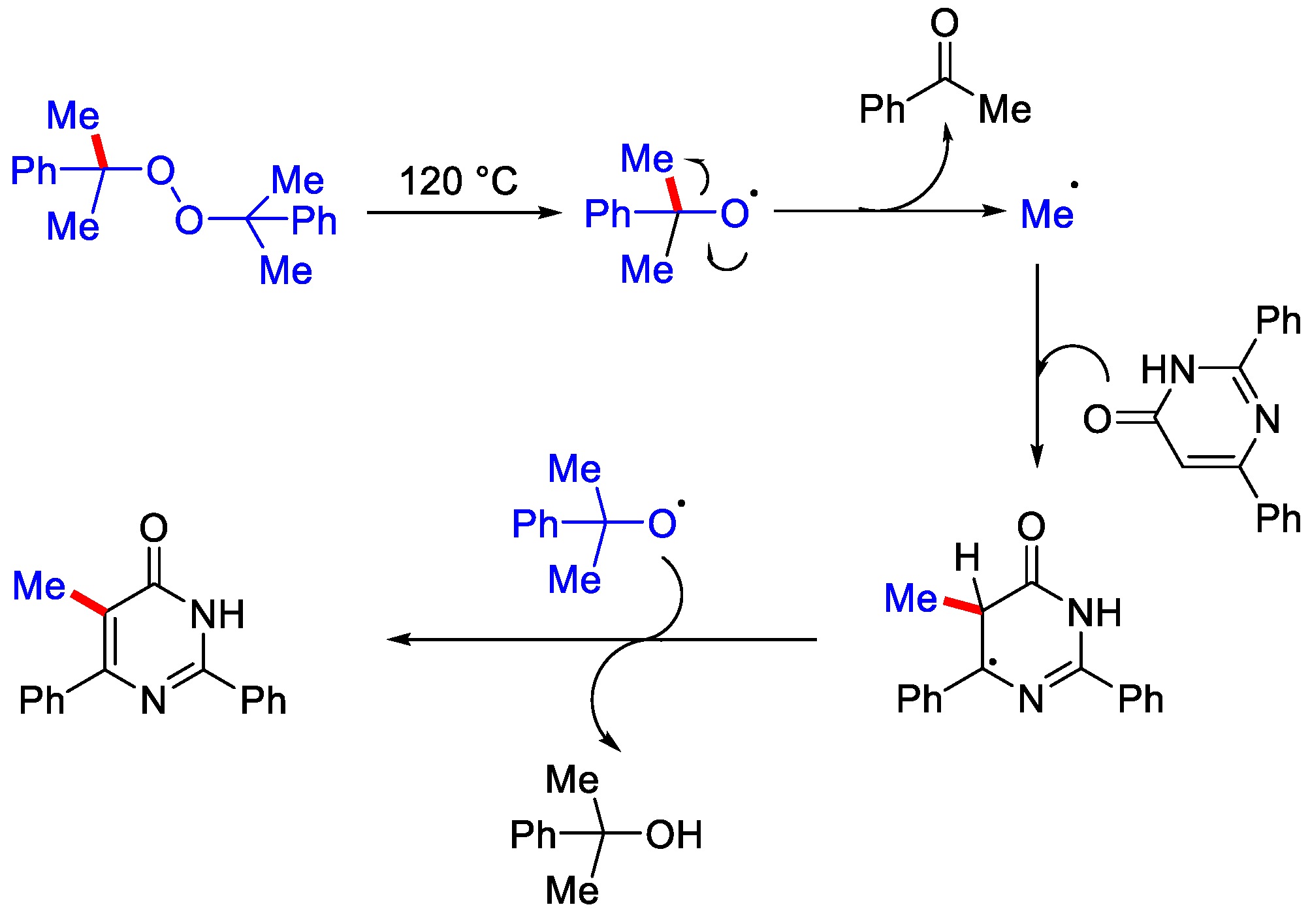 Catalysts 12 00510 sch034