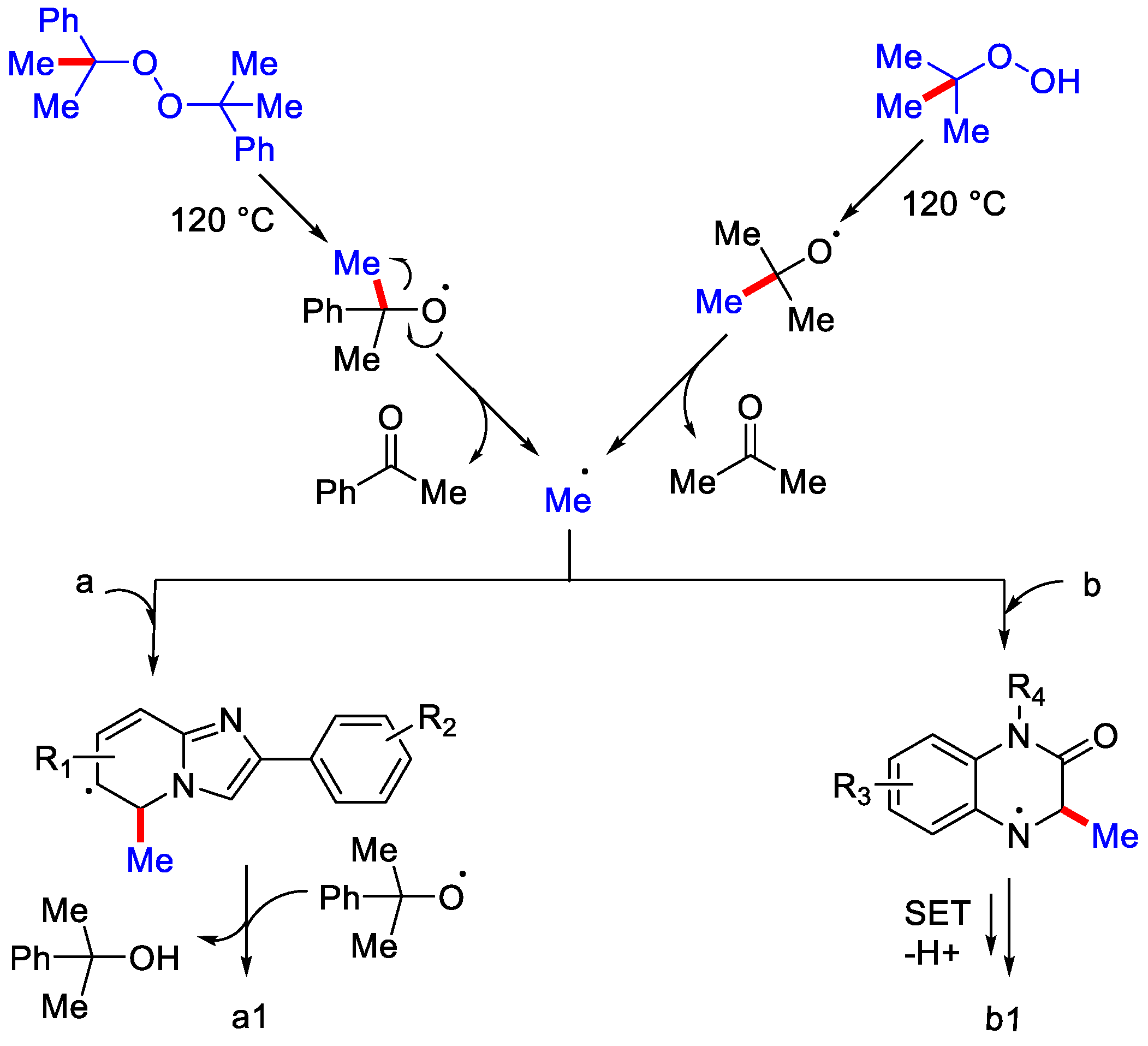Catalysts 12 00510 sch038