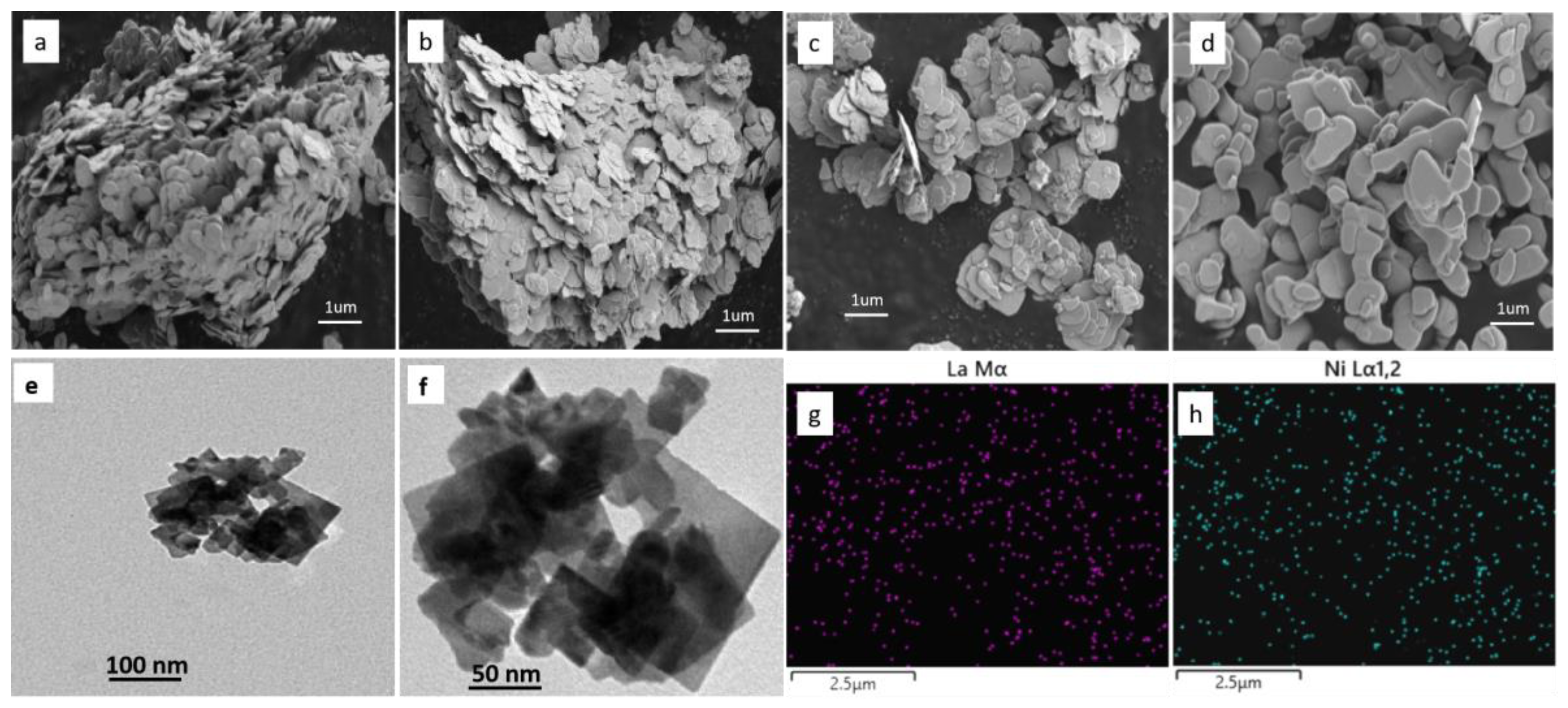 Catalysts 12 00512 g004