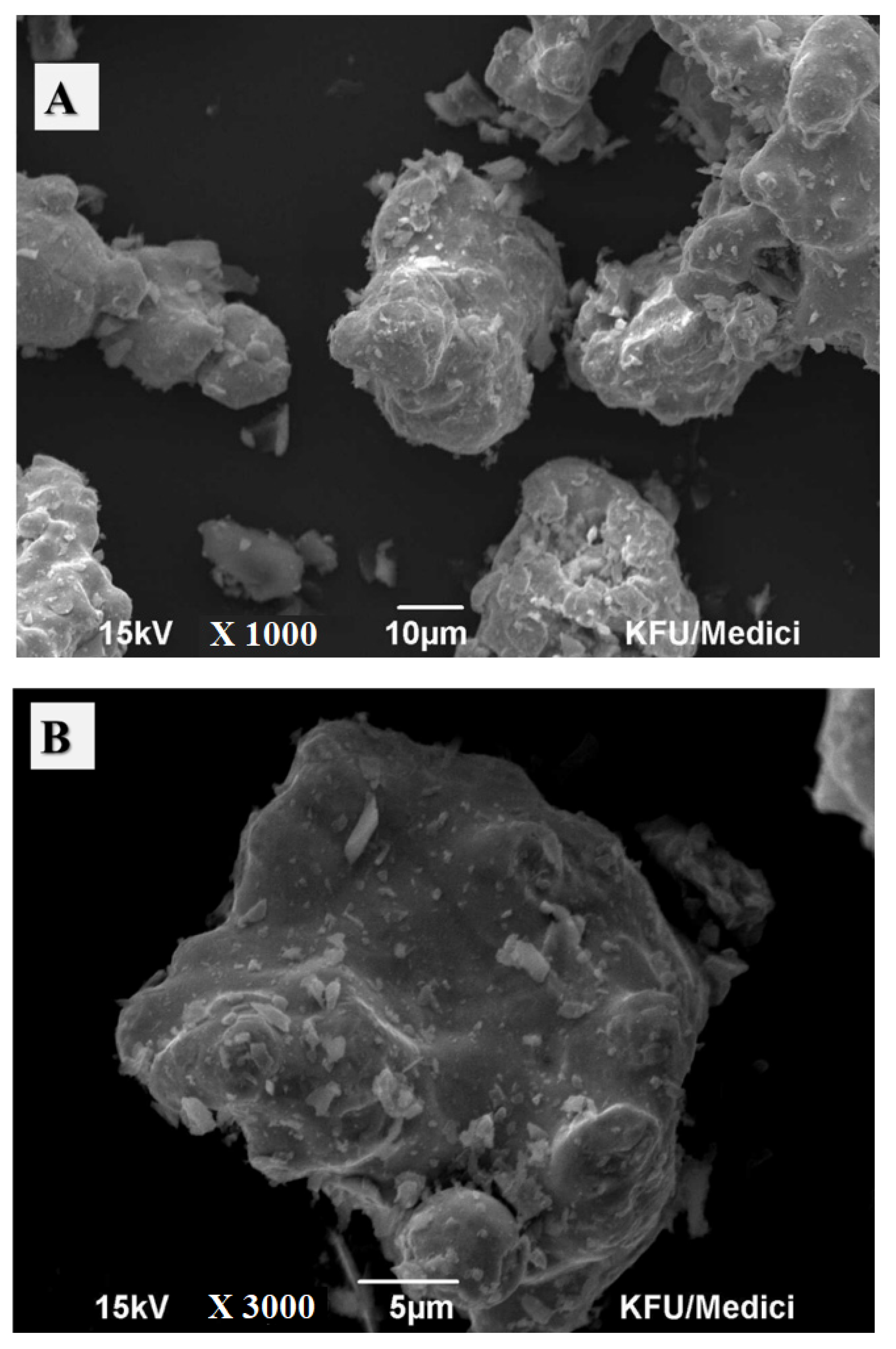 Catalysts 12 00515 g007