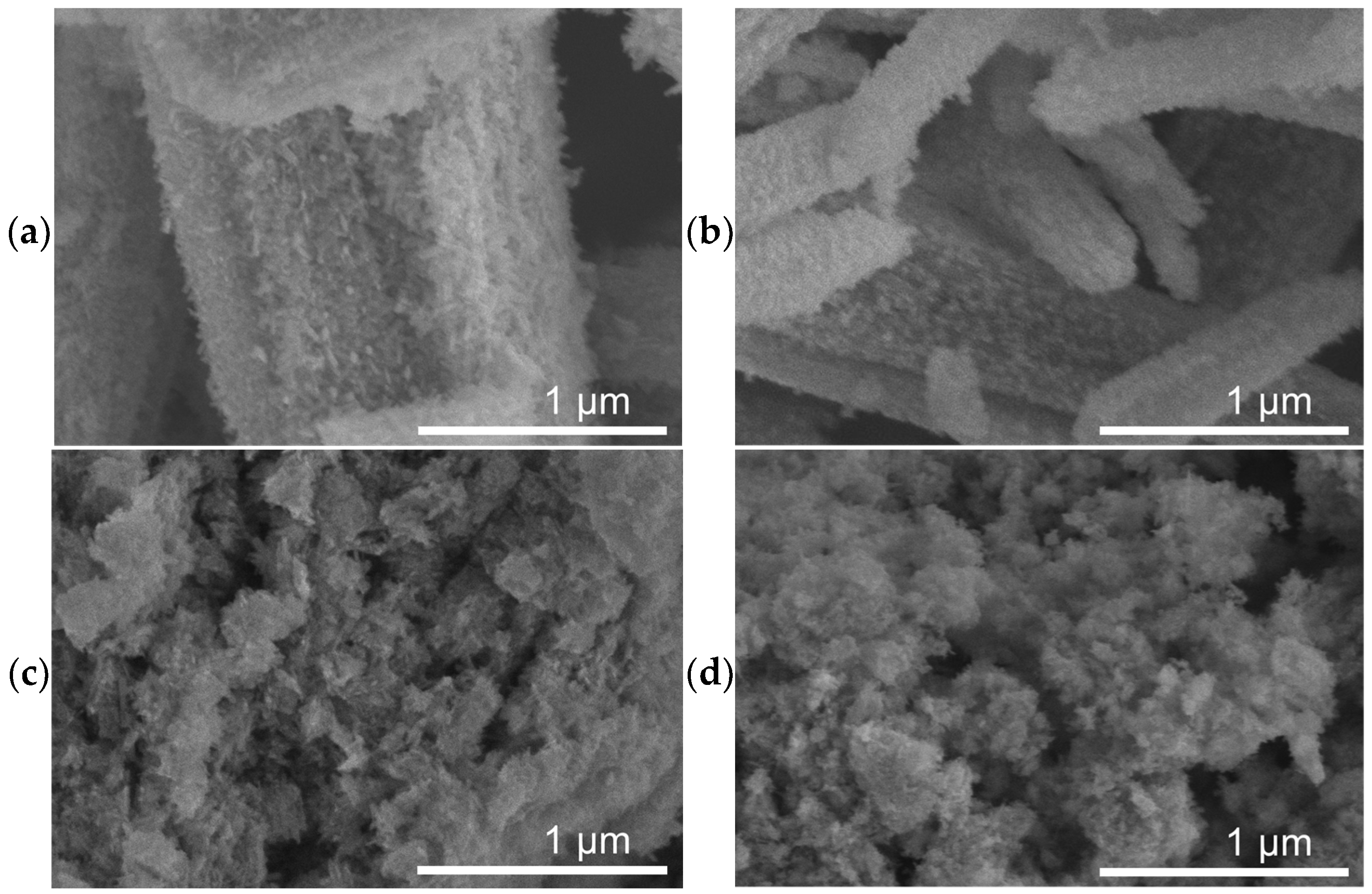 Catalysts 12 00516 g001