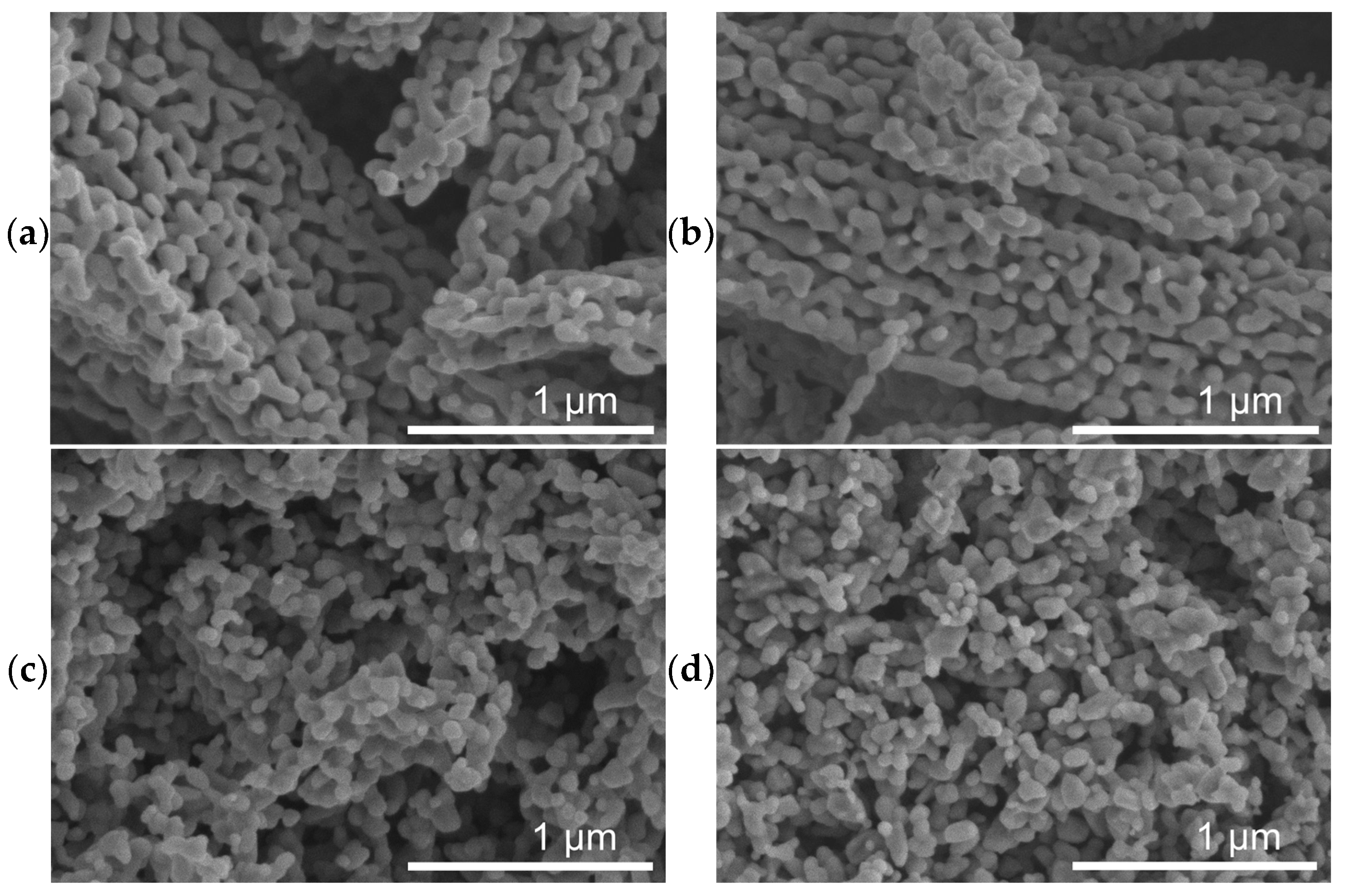 Catalysts 12 00516 g003