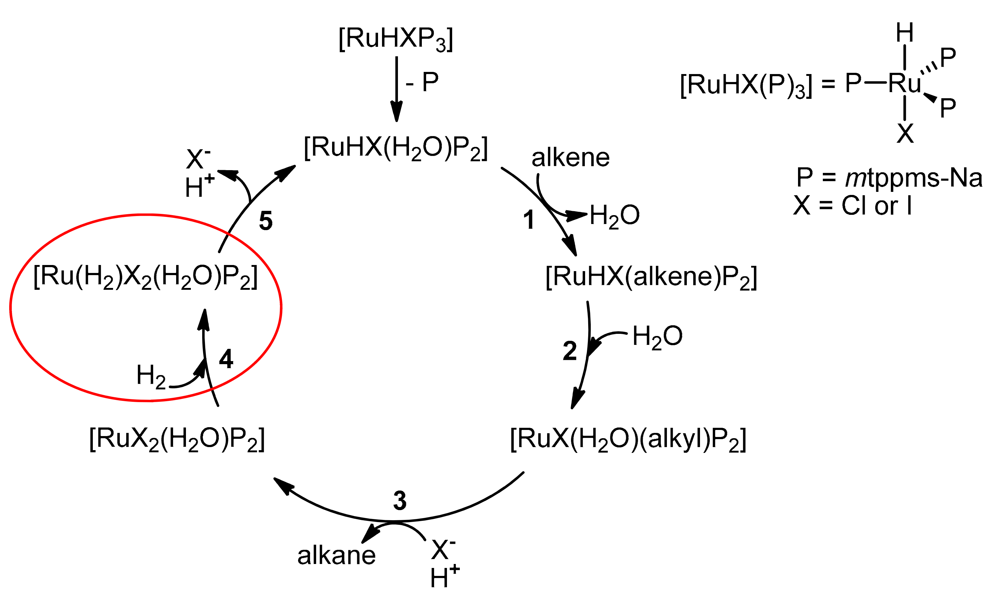 Catalysts 12 00518 g005 550