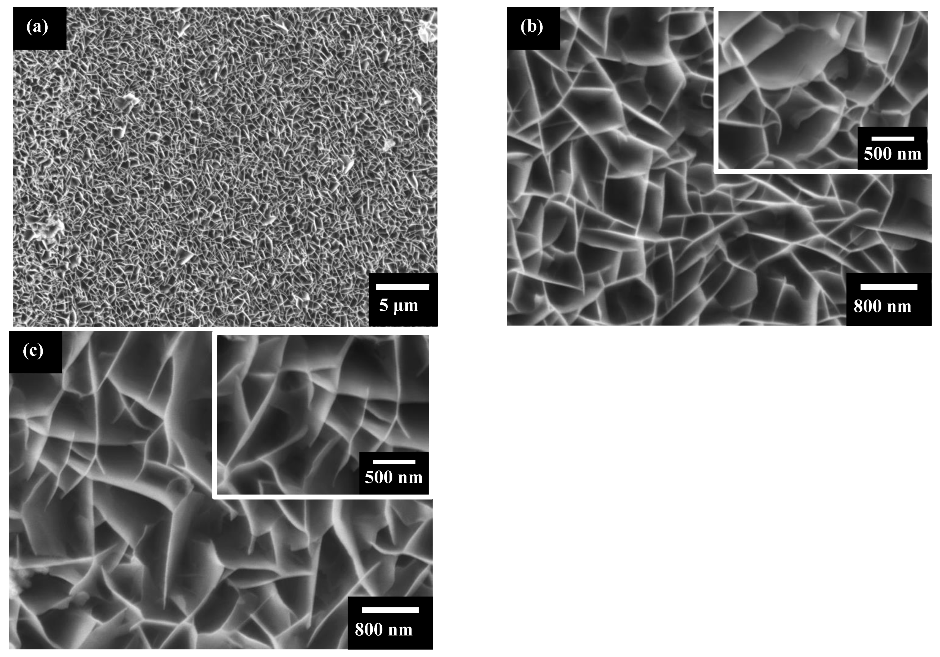 Catalysts 12 00520 g002 550